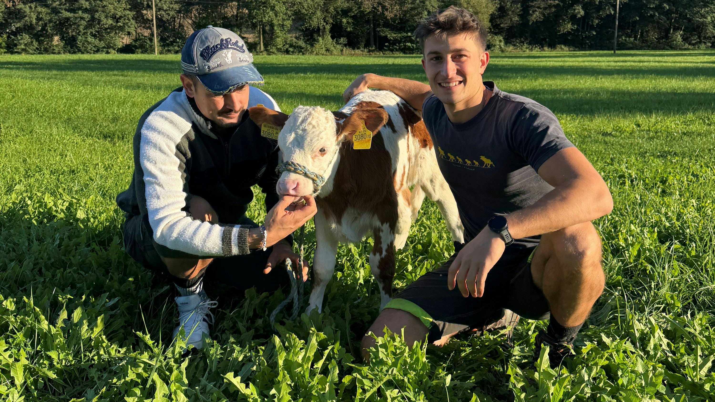 Heute.at - Ö3-Wettermann Sigi Fink ist aufs Kälbchen gekommen