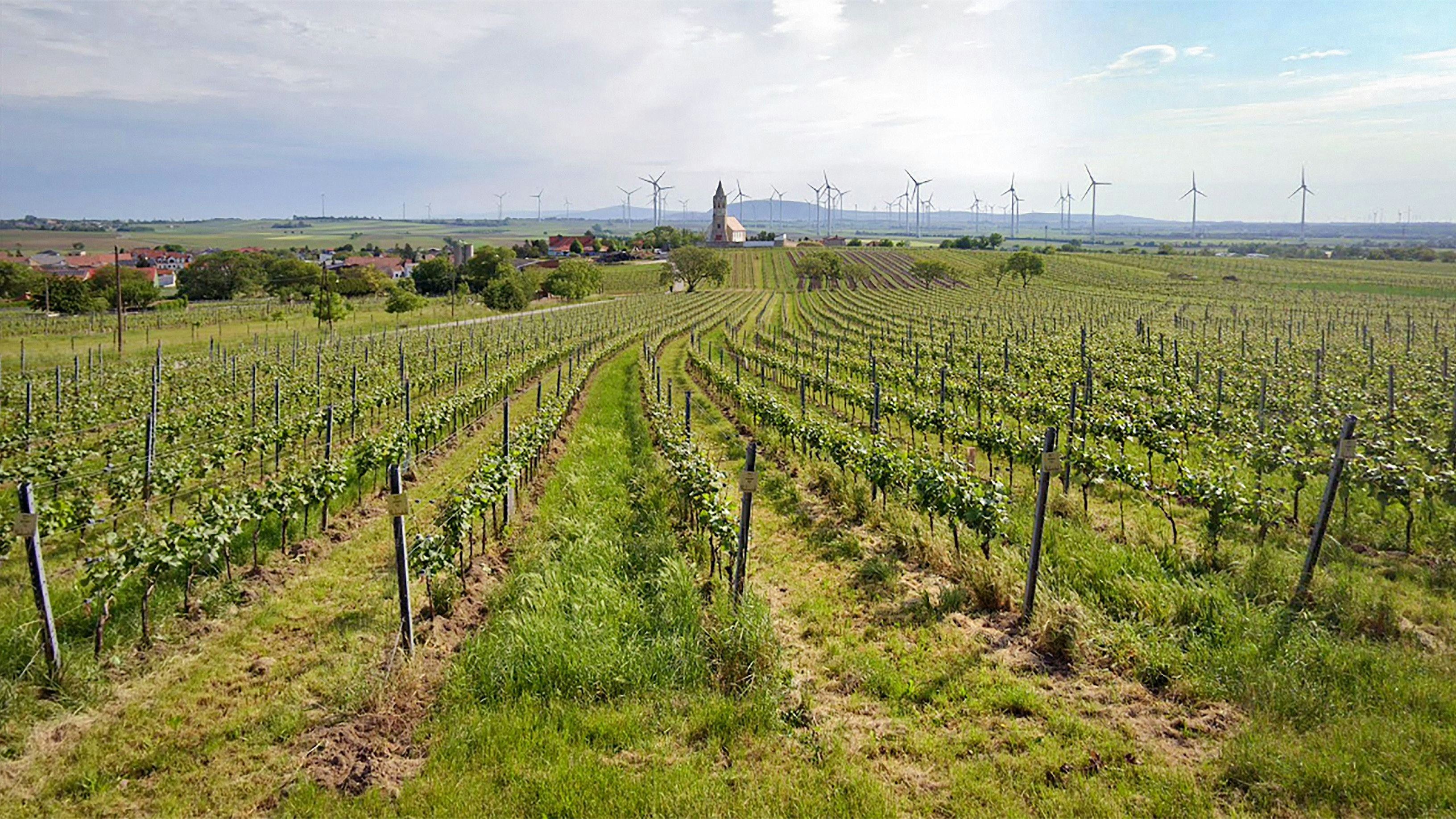 Heute.at - 31 Anlagen: Diese Gemeinde verdient mit Windrädern Geld