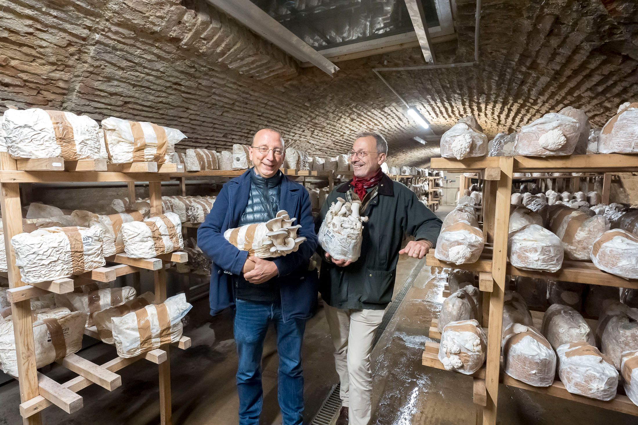 Die Pilzbrüder, Otto und Martin Kammerlander in ihrem Pilzkeller.