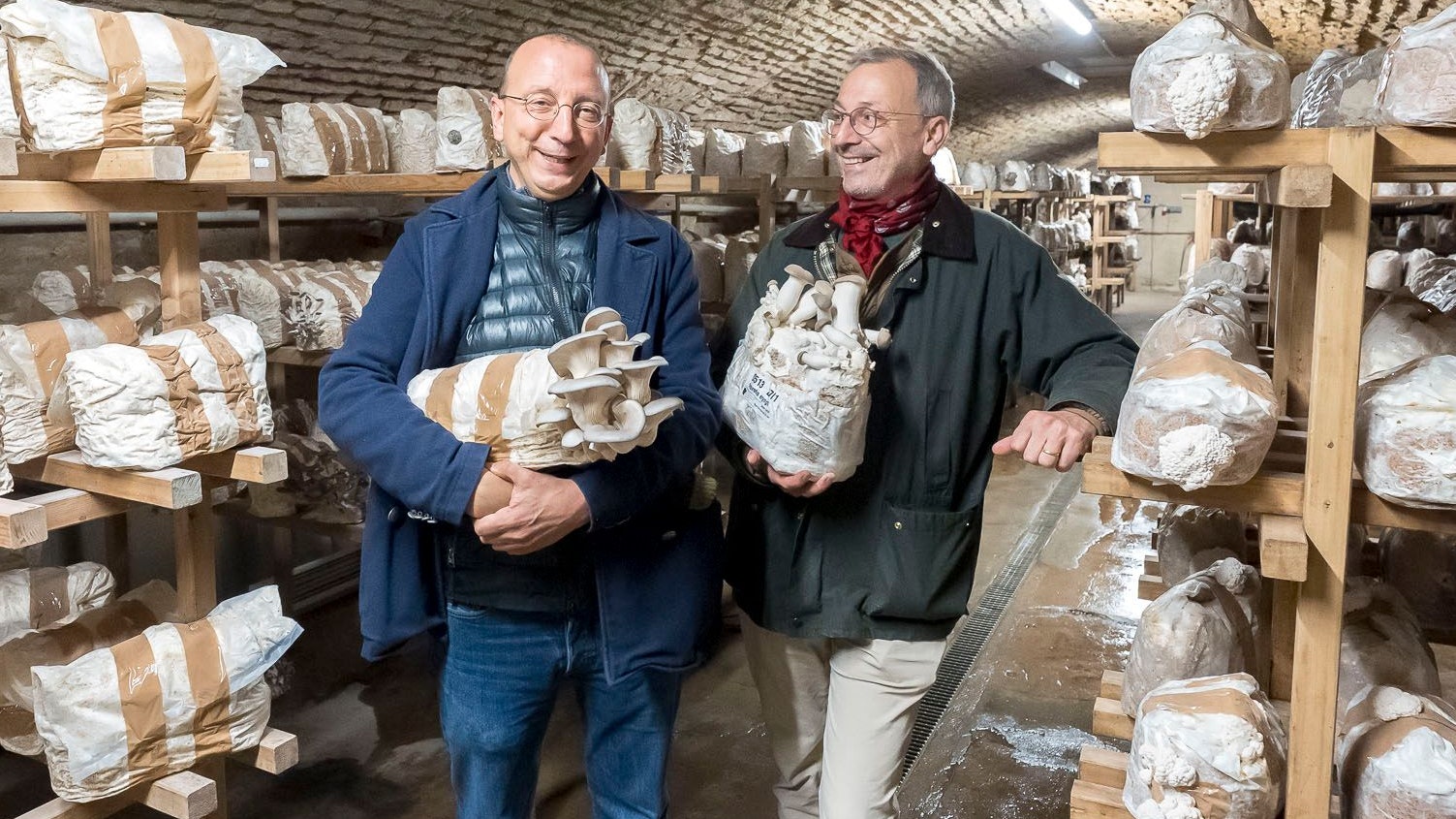 Die Pilzbrüder, Otto und Martin Kammerlander in ihrem Pilzkeller.