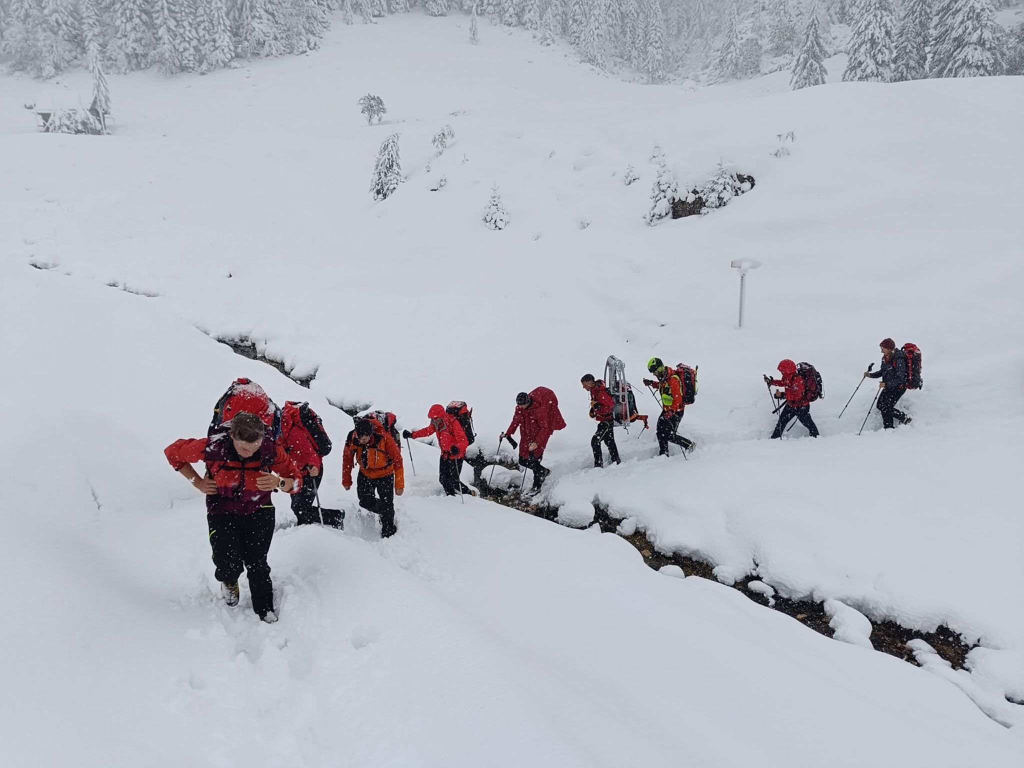 Eine große Suchaktion mit mehr als 70 Helfern wurde gestartet.