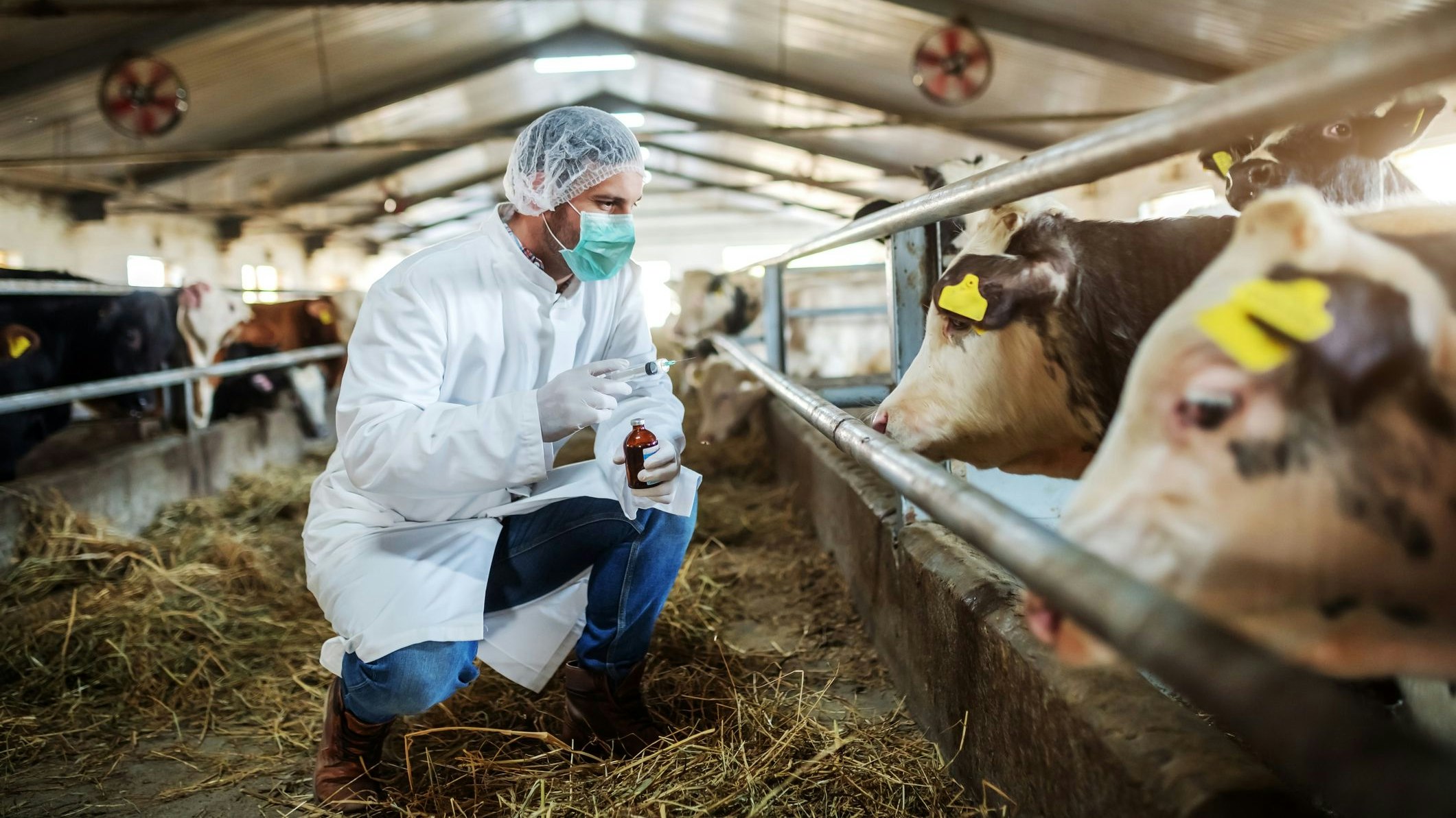 Heute.at - Schon 203 steirische Betriebe mit Virus infiziert