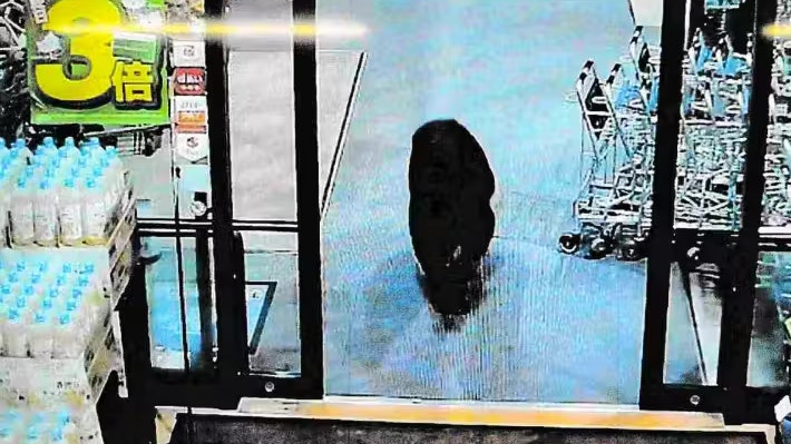 Heute.at - Bär randaliert in Supermarkt und verletzt zwei Menschen