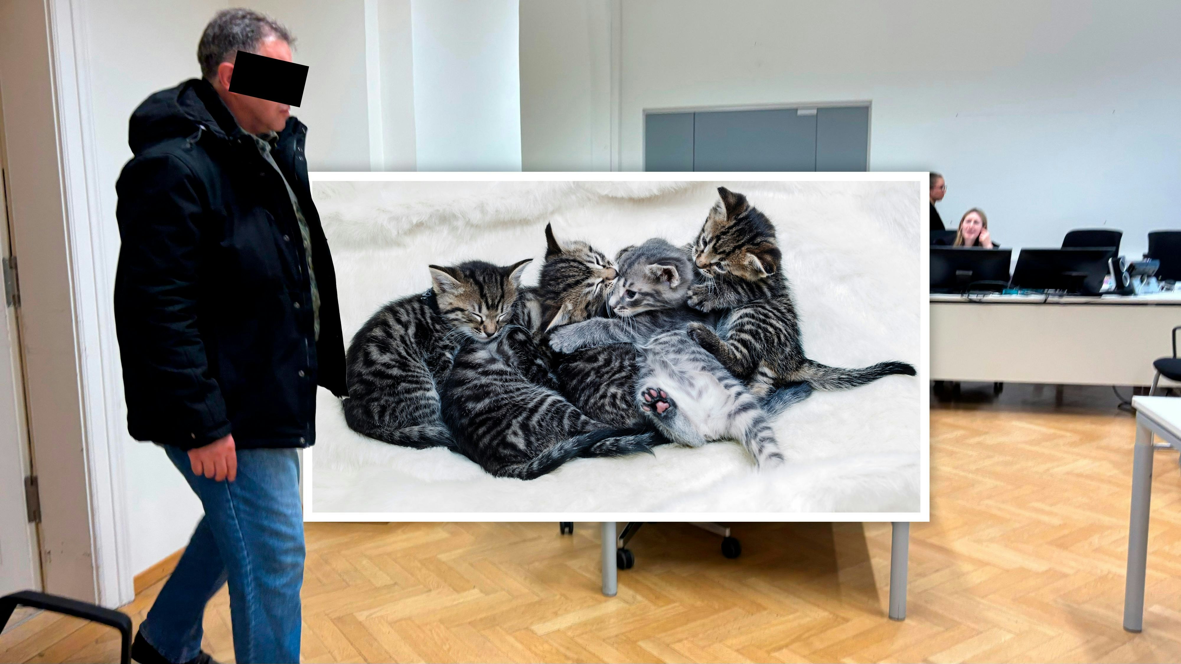 Heute.at - Wiener ertränkte sechs Babykatzen in der Badewanne