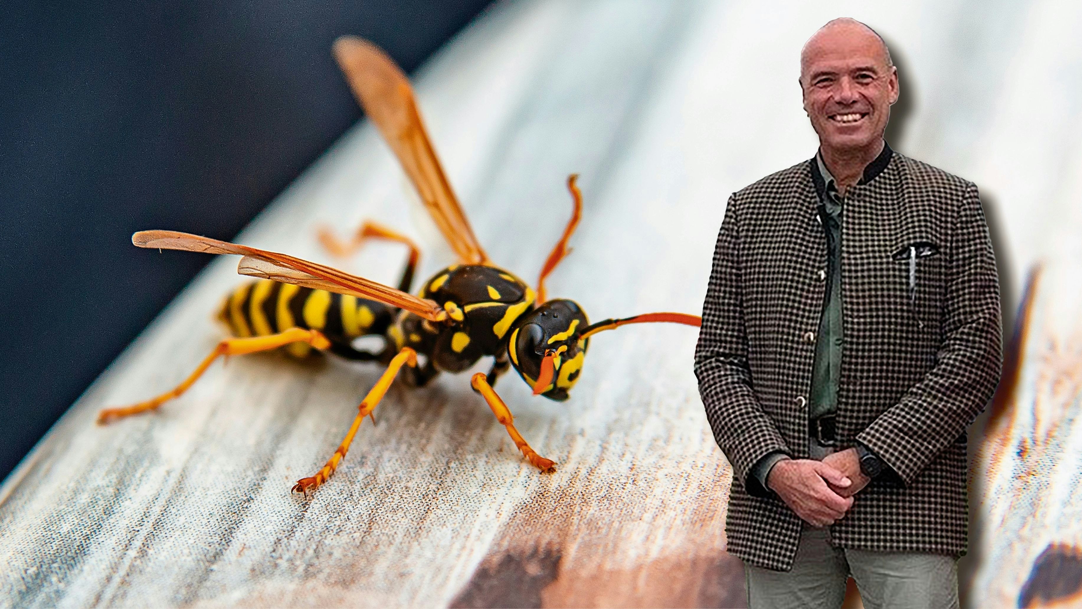 Heute.at - Allergischer Schock nach Wespenstich – Mann im Koma