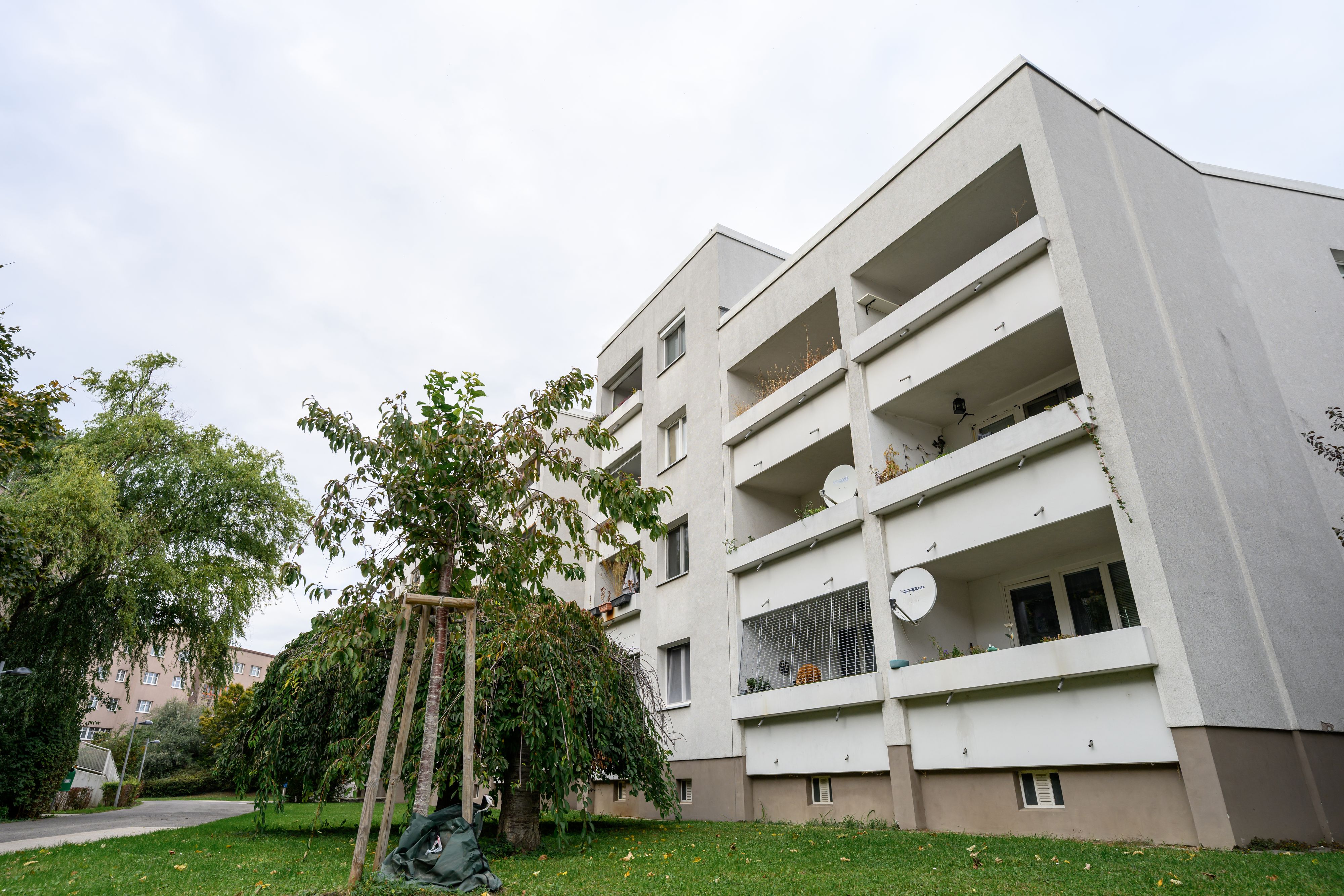 Ein 33-Jähriger ist in der Nacht auf Samstag in Wien-Donaustadt von seinem betrunkenen Nachbarn erschossen worden. Der 50-Jährige wurde festgenommen