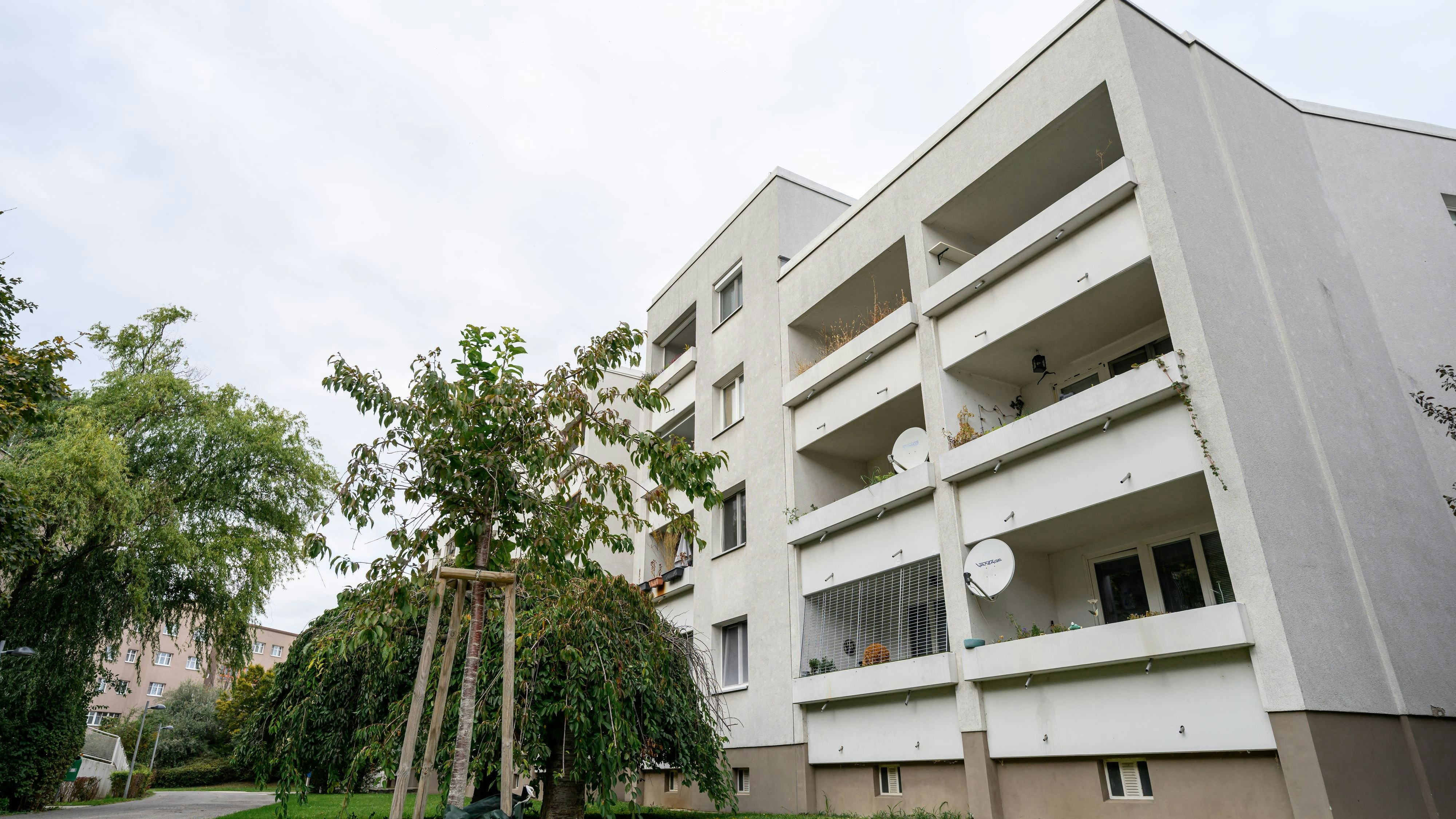 Heute.at - Nachbar (33) erschossen – Schütze packt jetzt aus