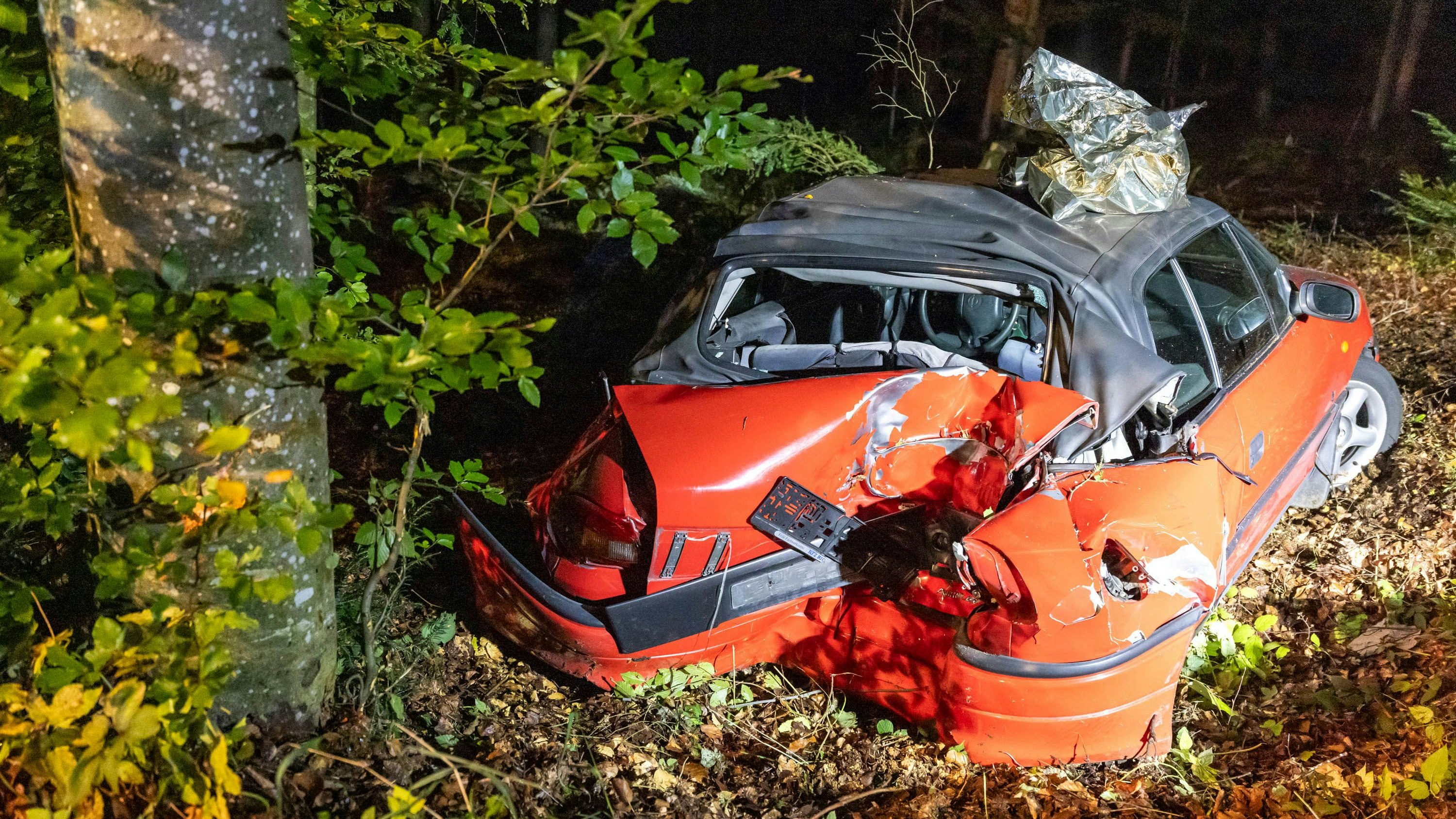 Heute.at - Alkolenker dreht sich in Luft, kracht mit Heck in Baum