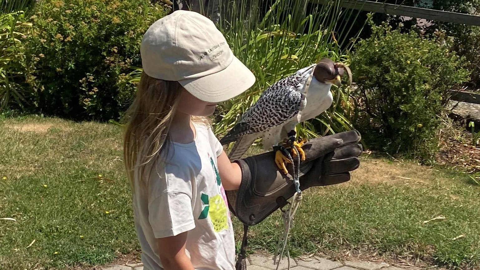 Die Greifvogel-Show ist ein absolutes Highlight im Vulkanland.