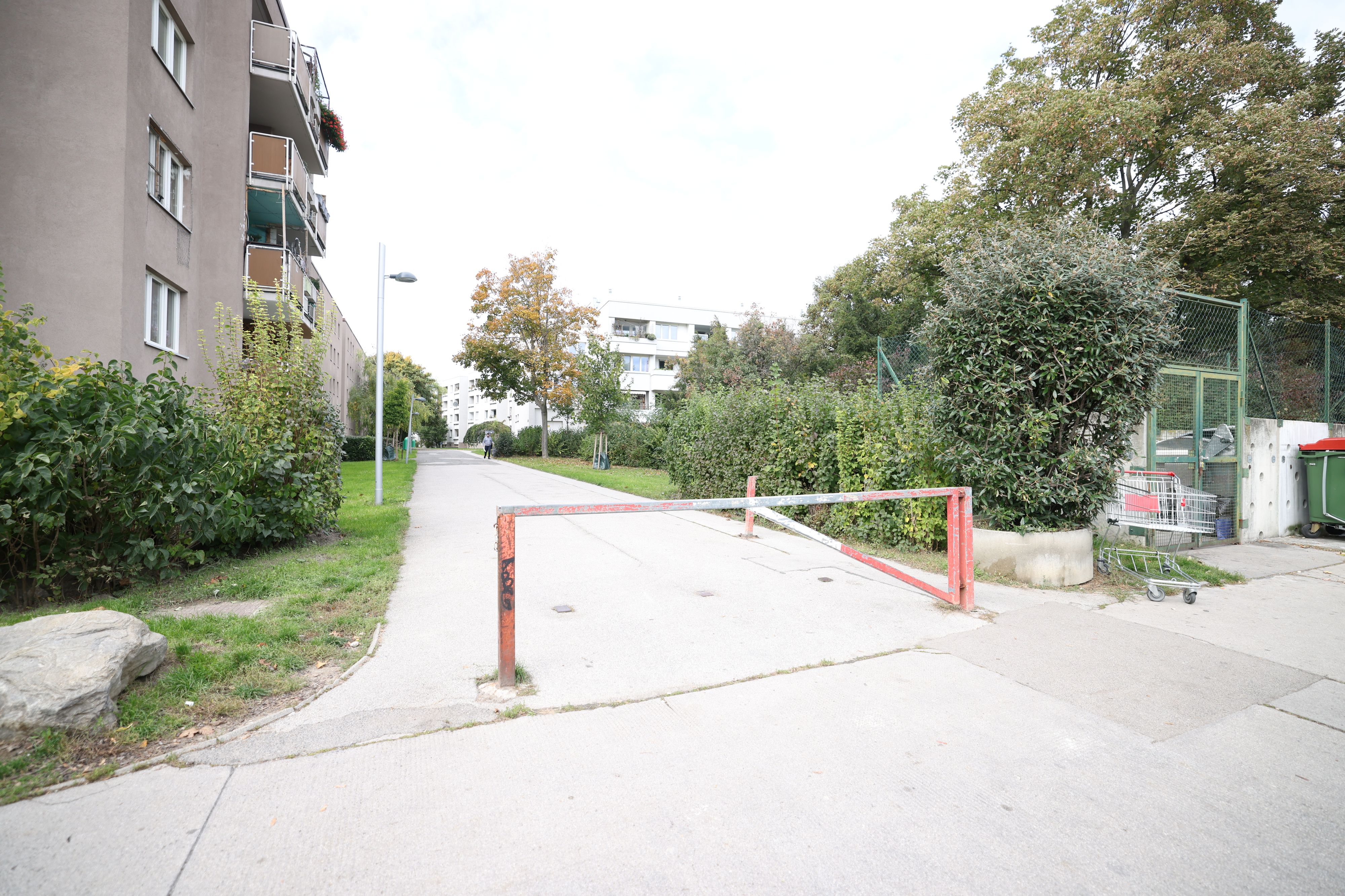 Am Samstag kam es gegen 4.00 Uhr zu einer tödlichen Schussabgabe im Josef-Bohmann-Hof in Wien-Donaustadt. 