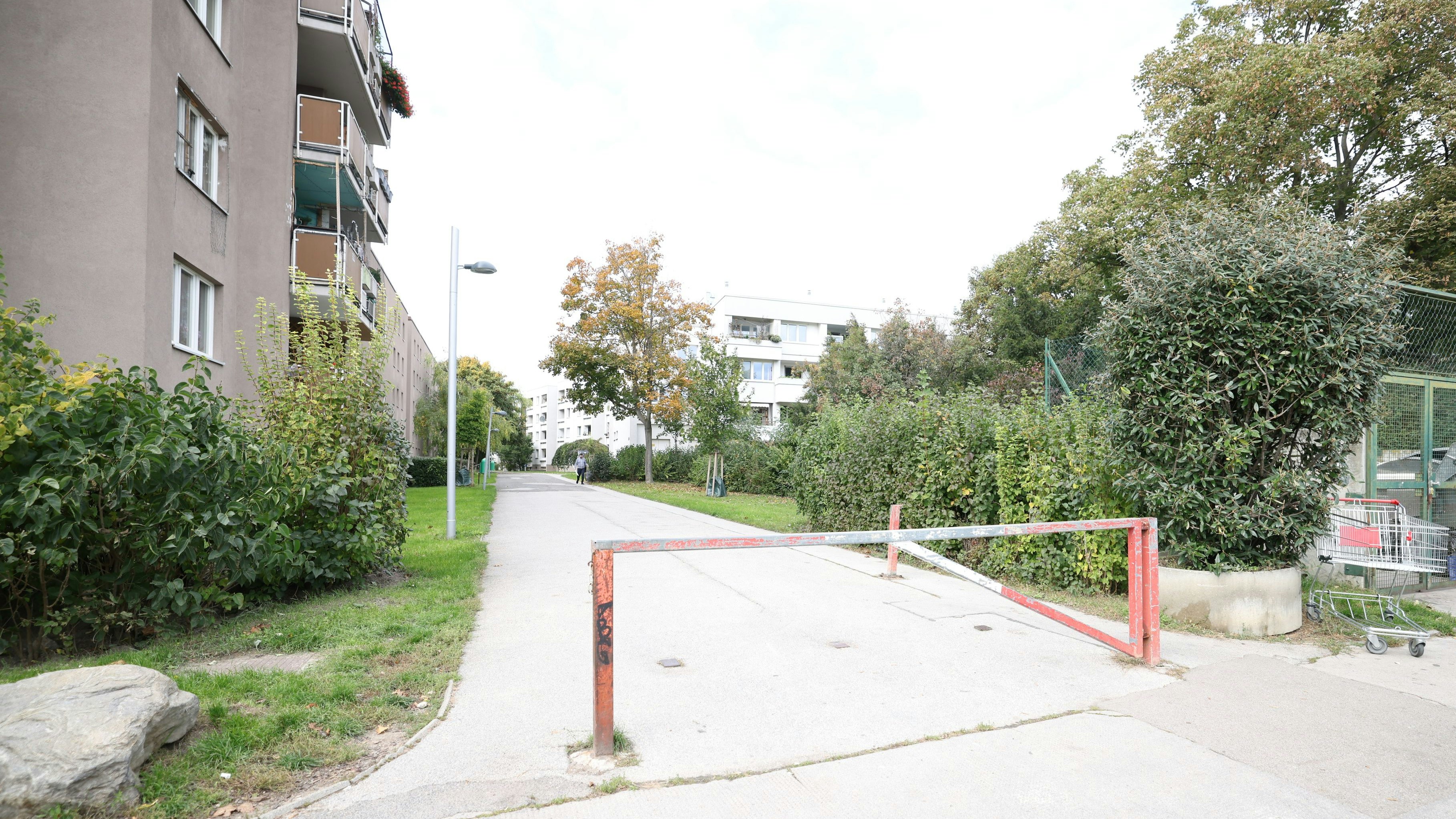 Heute.at - Brisante Wende – Stiegenhaus-Schütze ändert Aussage