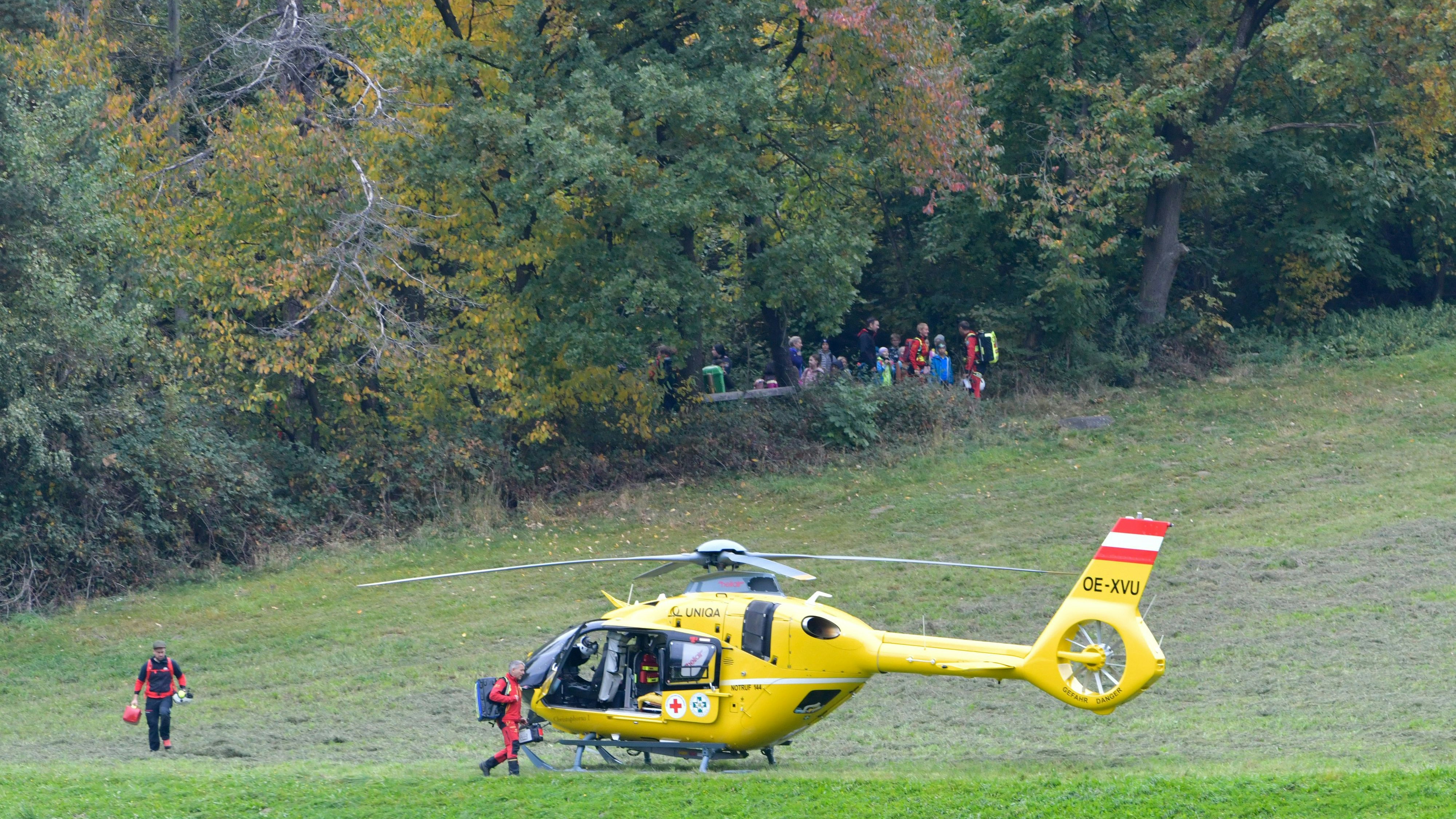 Heute.at - Auf Spielplatz – Kinder von Erdwespen attackiert