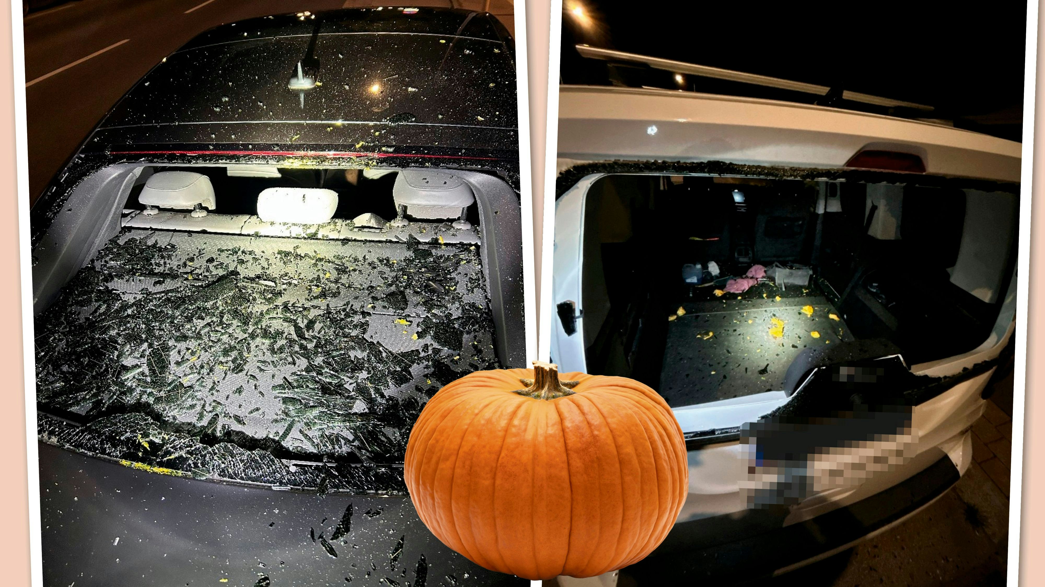 Heute.at - Kürbis-Attacke auf 28 Autos – Burschen-Bande gefasst