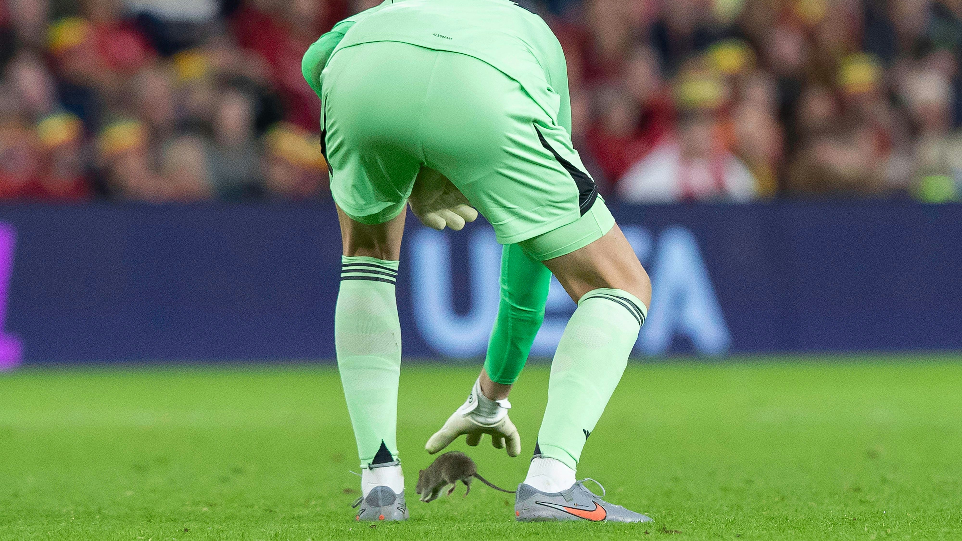 Heute.at - Alaba-Kollege wird in WM-Quali zum Rattenfänger