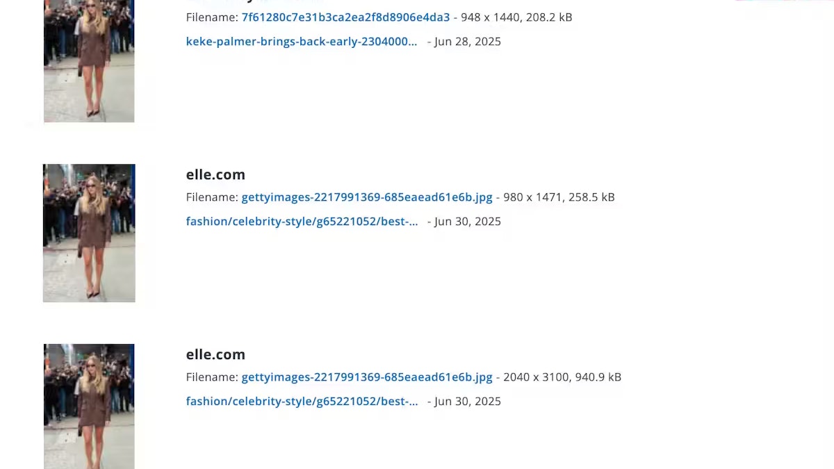 Neben den Fotos sind auf der Plattform auch weitere Infos zu finden, die helfen, zu dem Originalbild zu gelangen. So erfährt man, dass es die Fotoagentur Getty Images im Angebot hat.