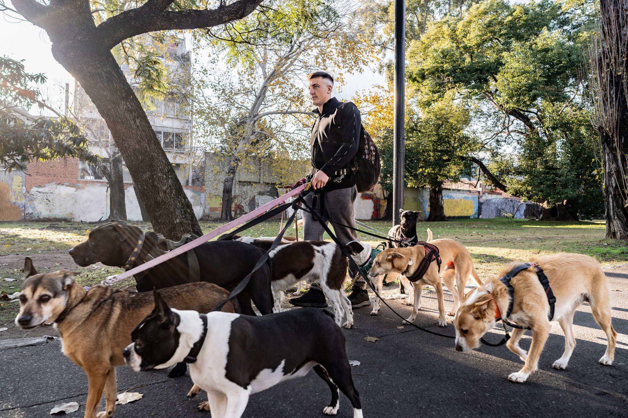 Heute.at - Warnung vor unseriösen Tiersitter-Plattformen