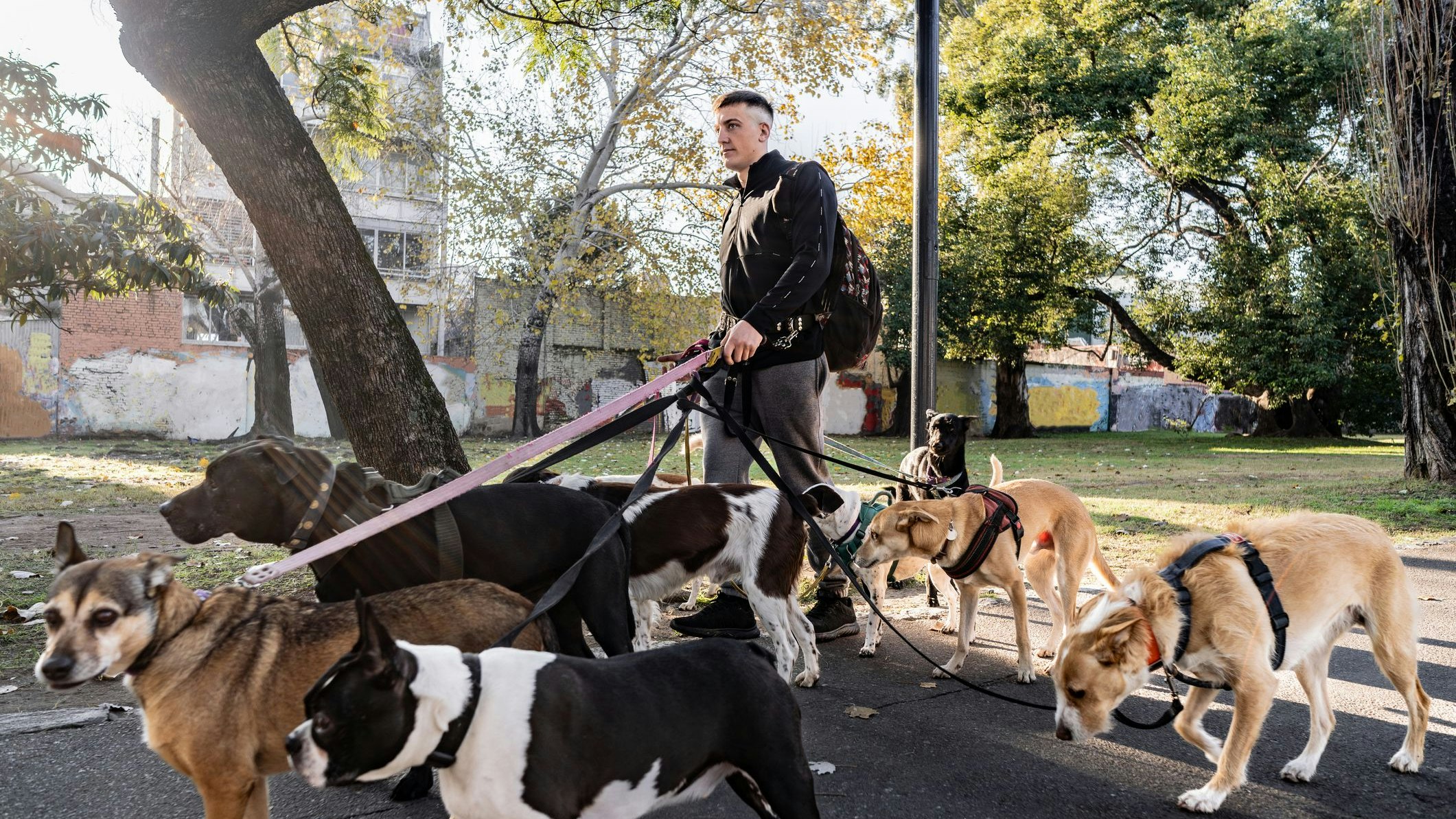 Heute.at - Warnung vor unseriösen Tiersitter-Plattformen