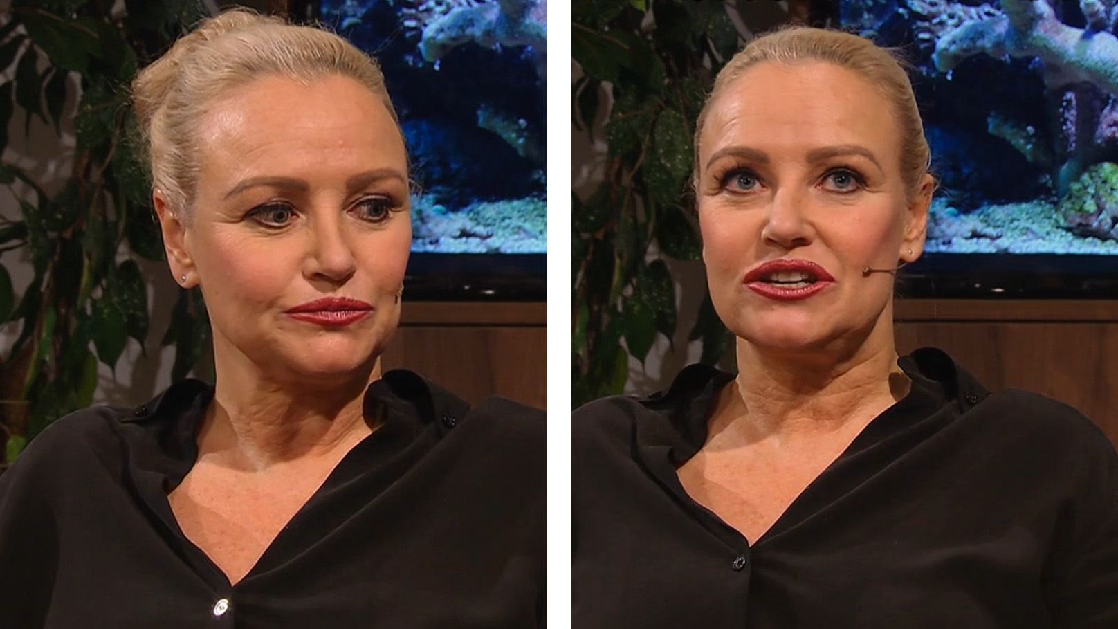 Heute.at - AMS & Trauer! So schlecht ging es Scheitz nach ORF-Aus