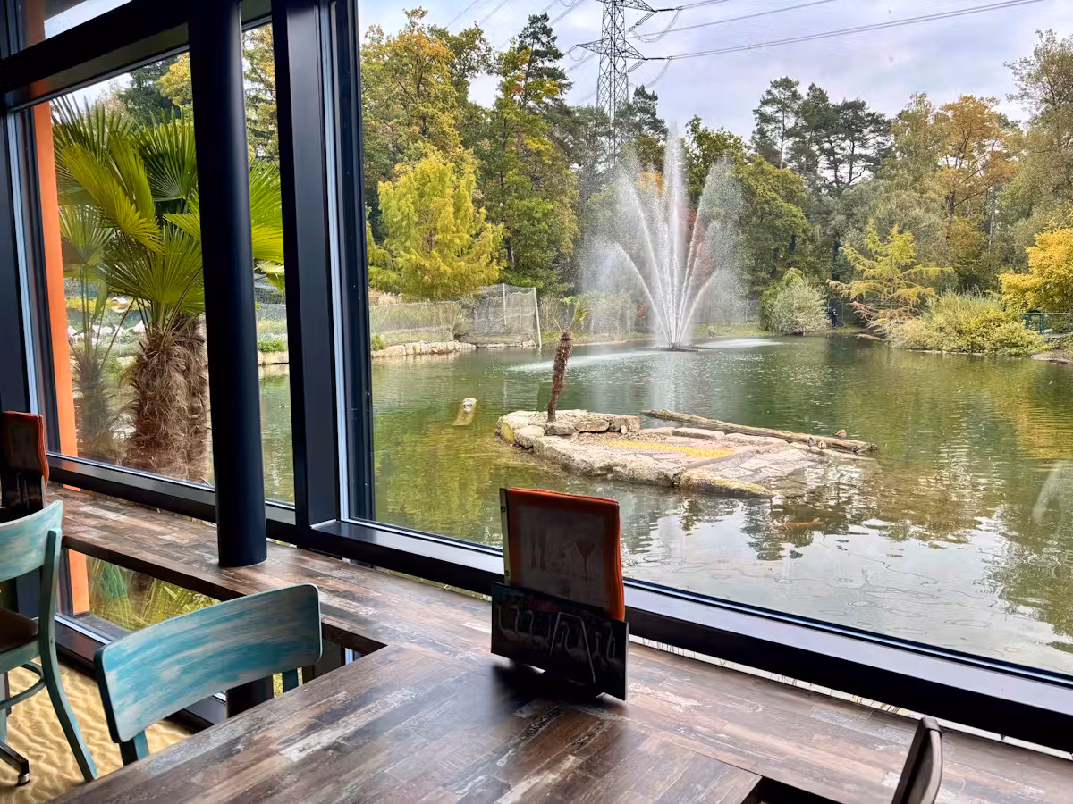 Beim Essen im Florida hat man Ausblick auf den Teich und seine Bewohner