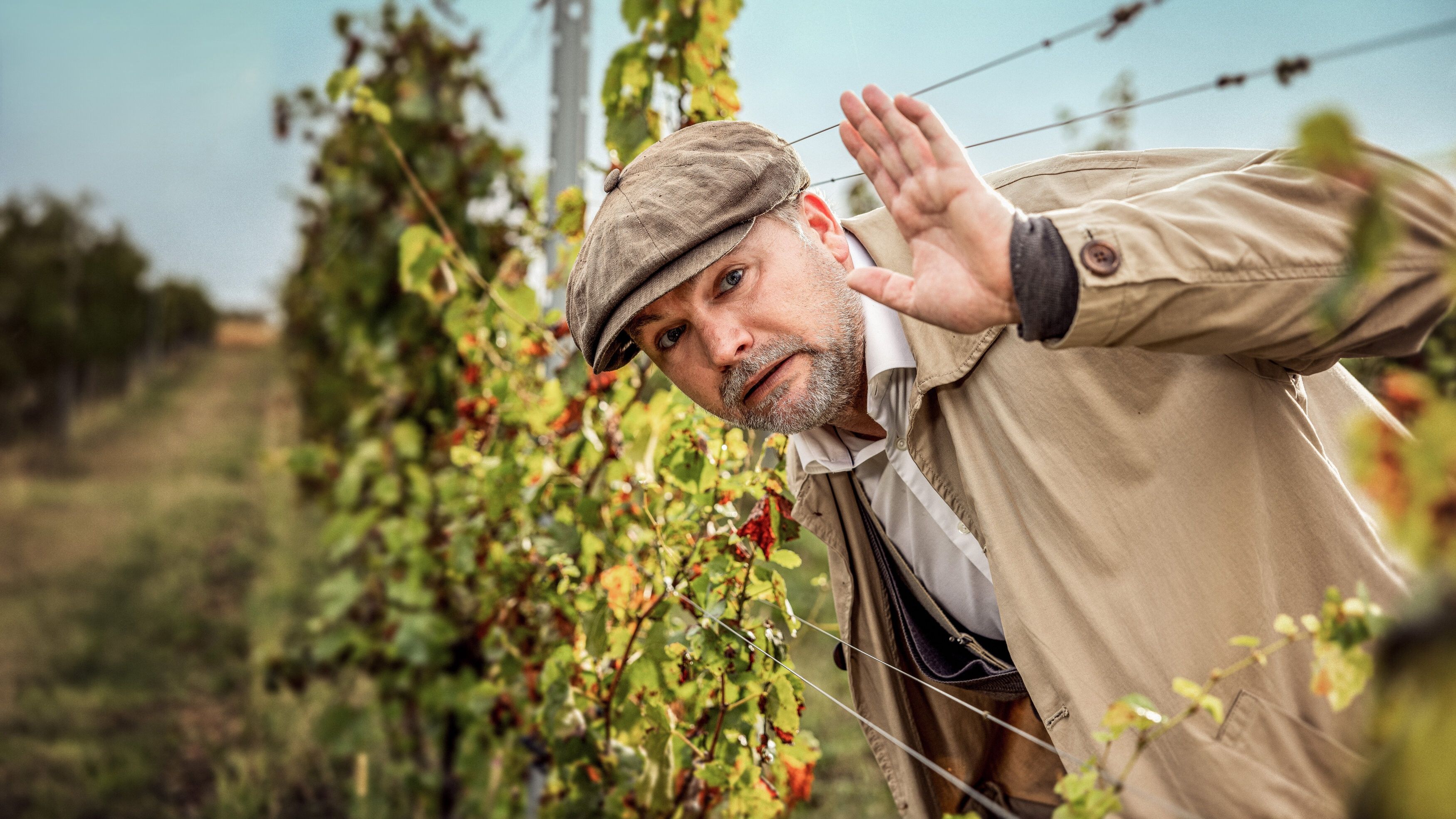 Thomas Stipsits als Inspektor Sifkovits.
