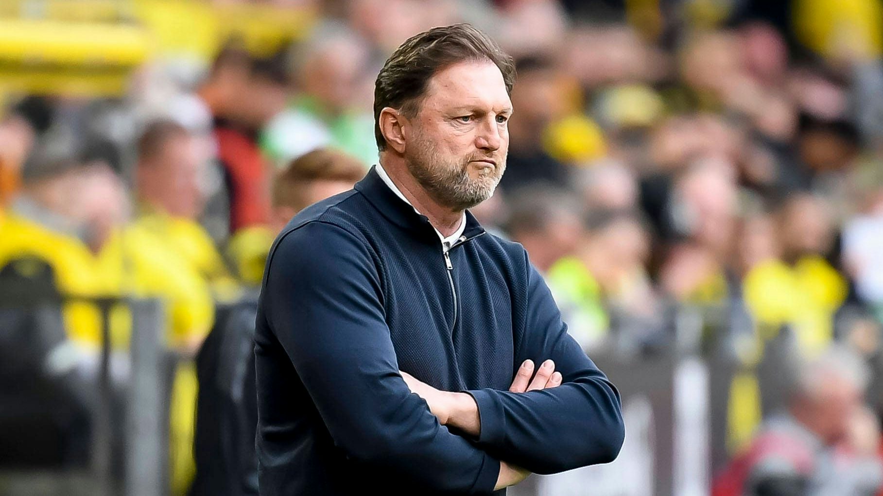 Heute.at - Hasenhüttl bei Traditionsklub auf der Insel gefragt