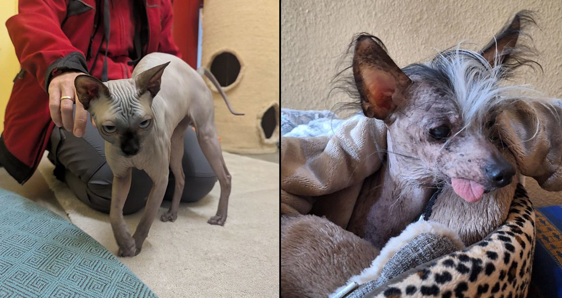 Heute.at - So arm! In Vösendorf müssen jetzt warme Pullover her