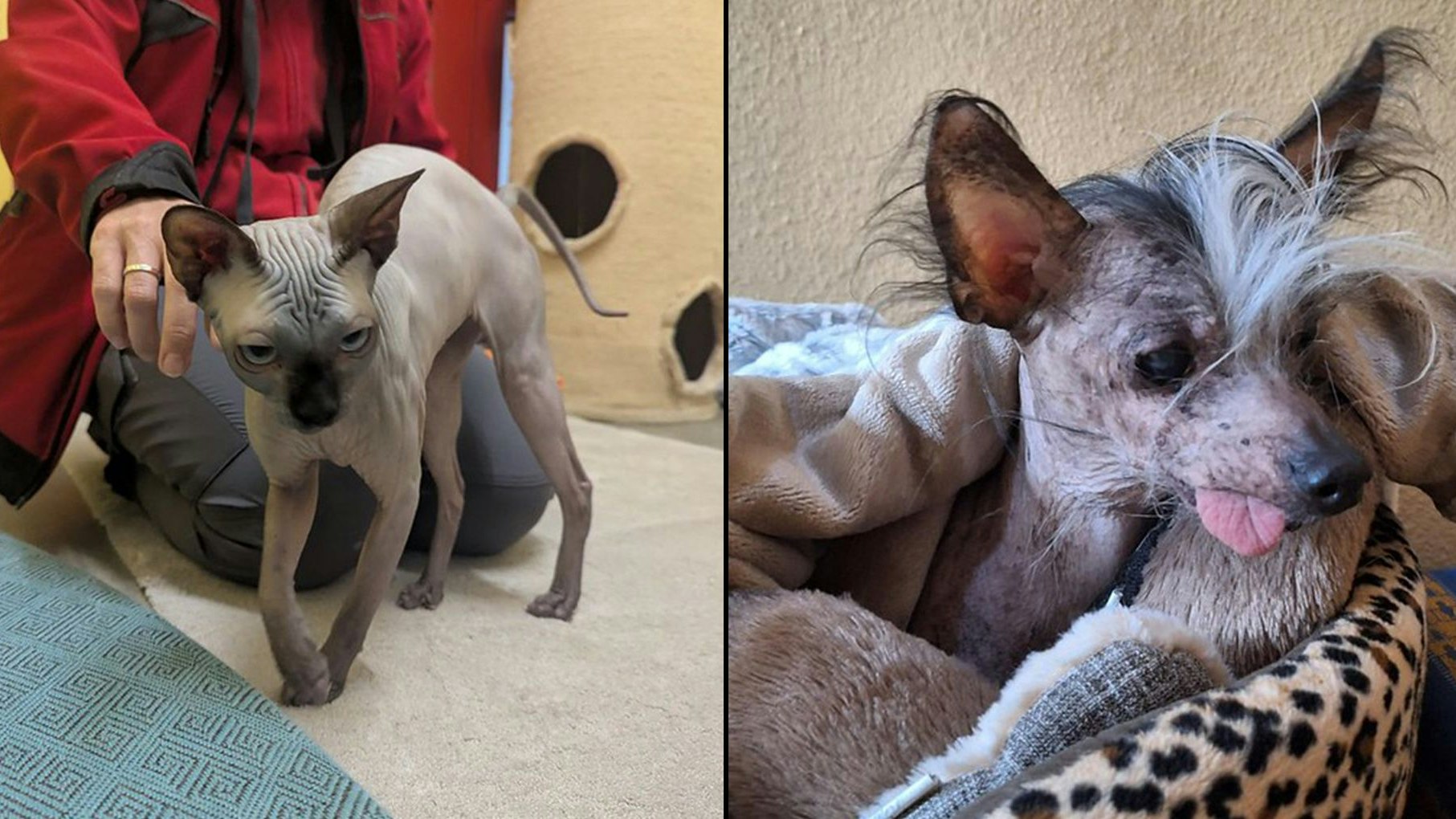 Heute.at - So arm! In Vösendorf müssen jetzt warme Pullover her