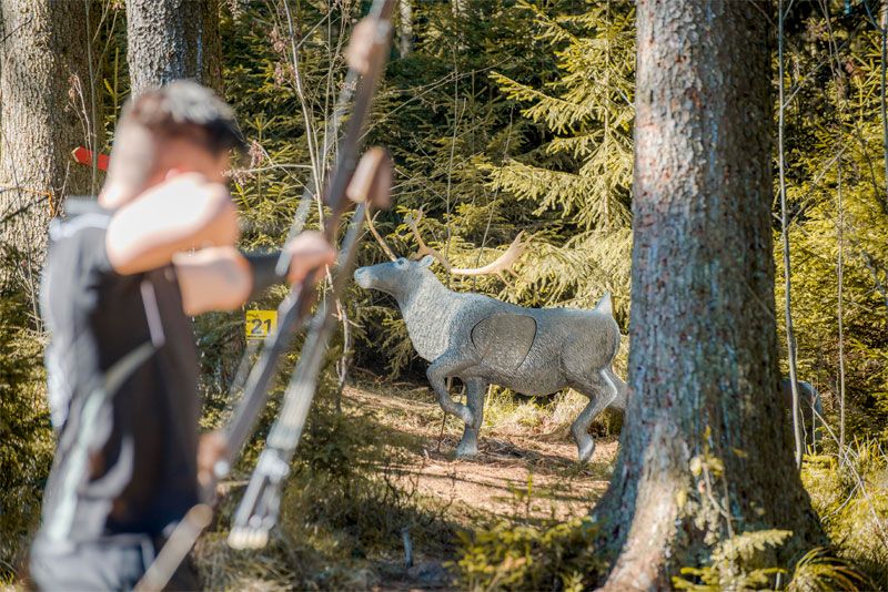 Der Vorfall im Bogensportzentrum sorgt für Staunen.