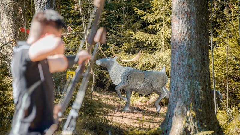 Heute.at - Bub (12) schießt mit Pfeil auf Spinne, tötet aber Reh