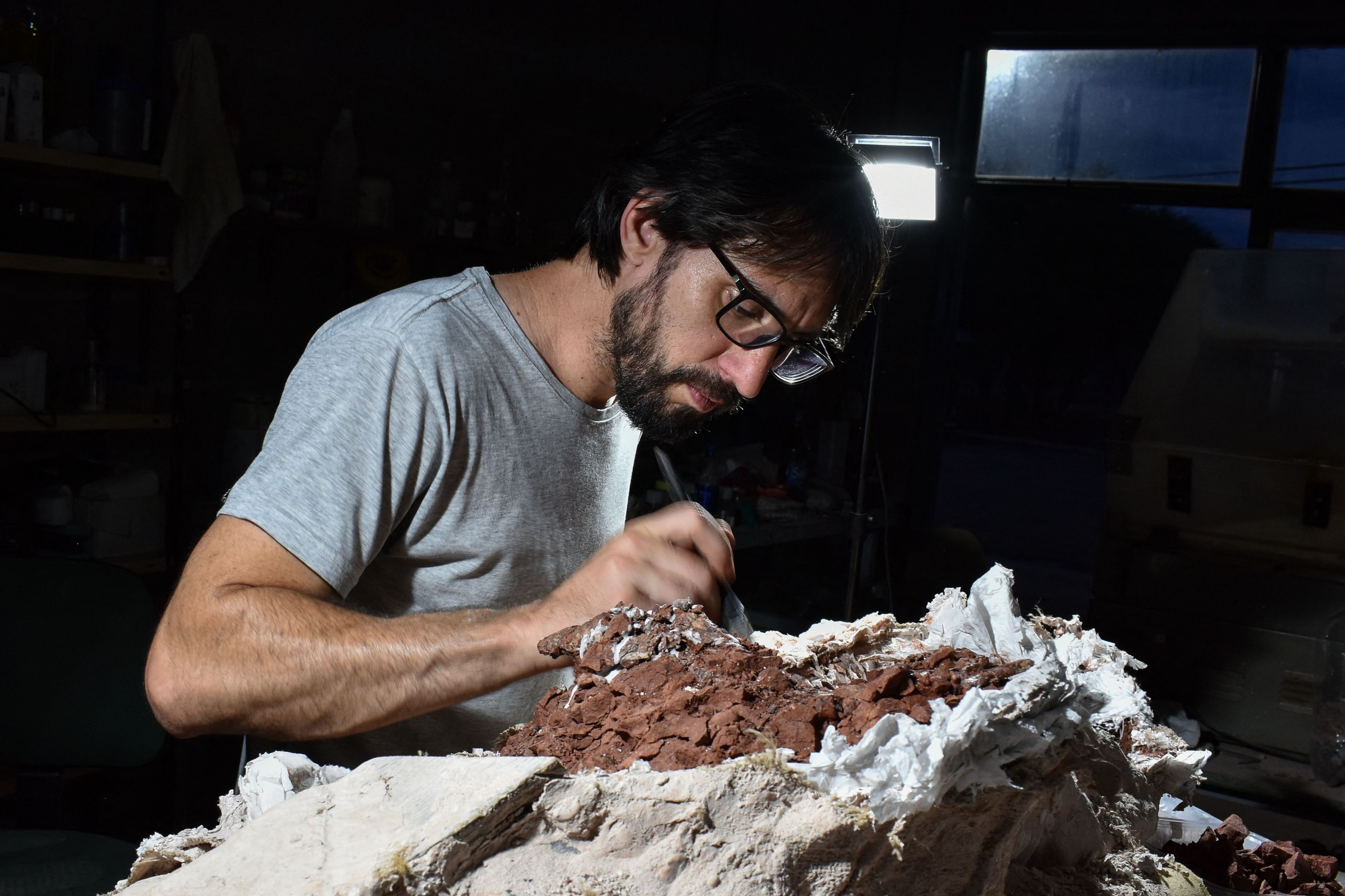 Ein vom argentinischen CONICET veröffentlichtes Bild zeigt den CONICET-Forscher Martin Hechenleitner bei der Vorbereitung des gefundenen Skeletts.