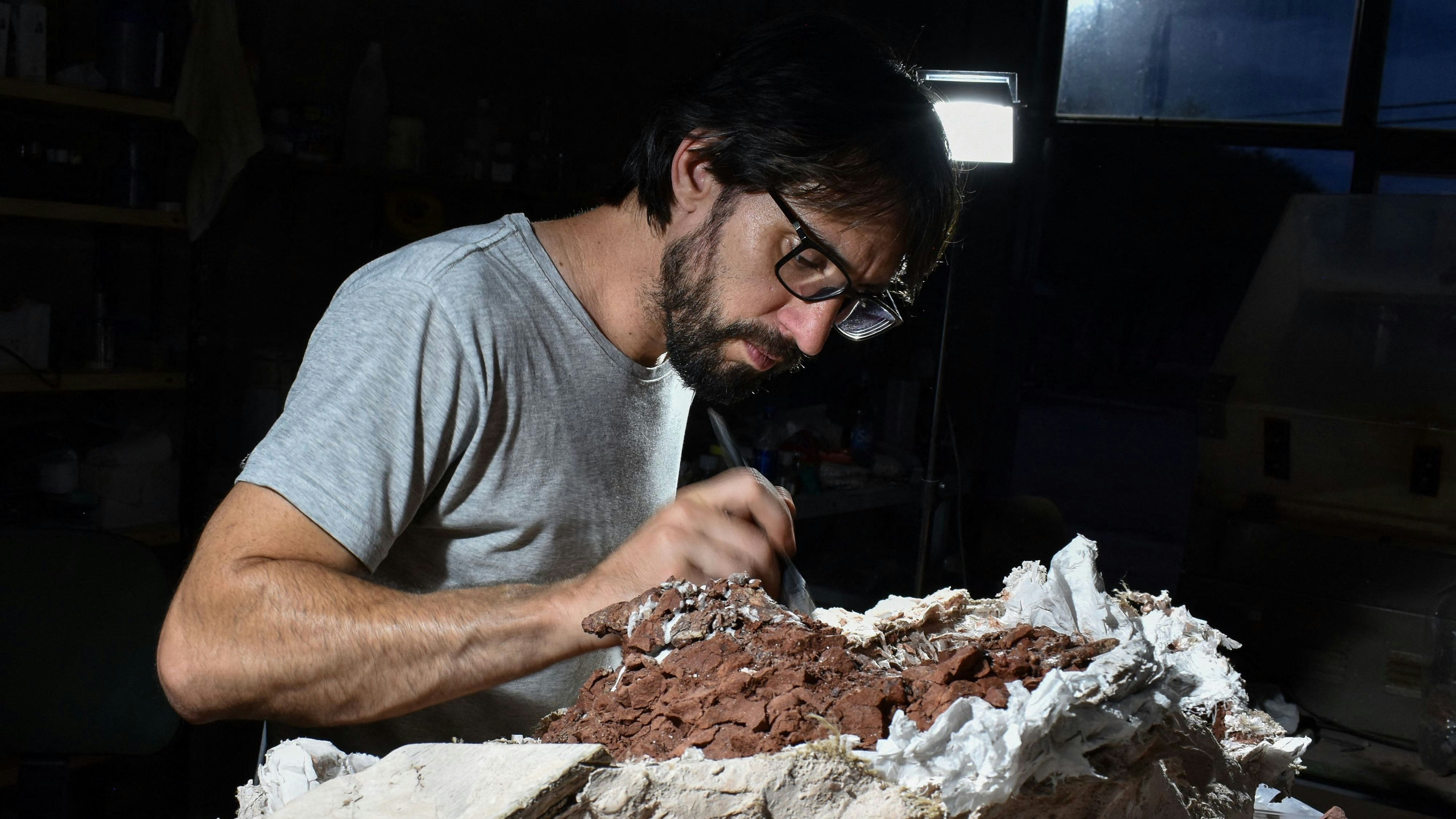 Heute.at - Forscher entdecken ältestes Dino-Skelett in den Anden