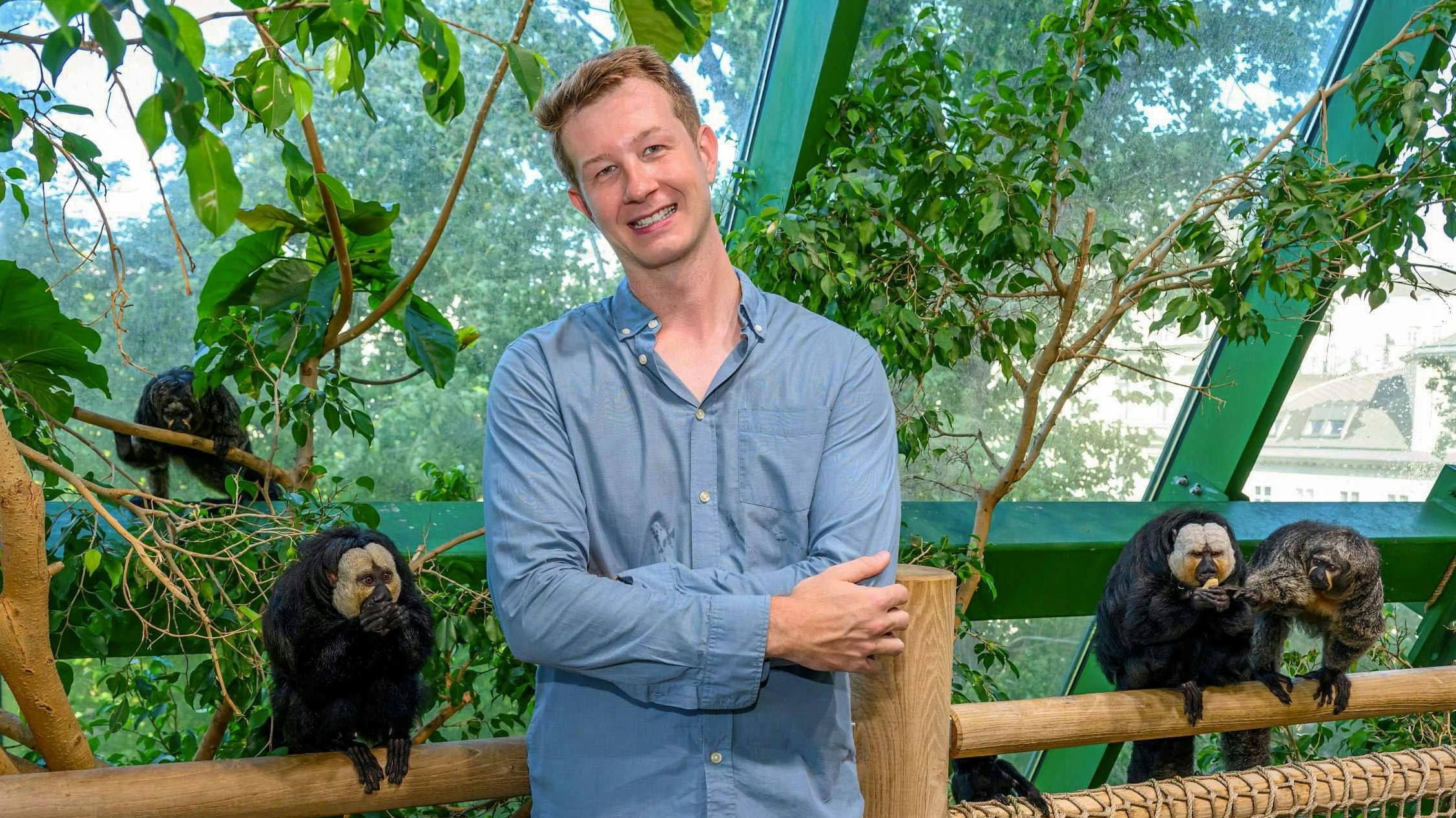 Hier sieht man Zoodirektor Jeff Schreiner mit der ganzen "Affenbande". 