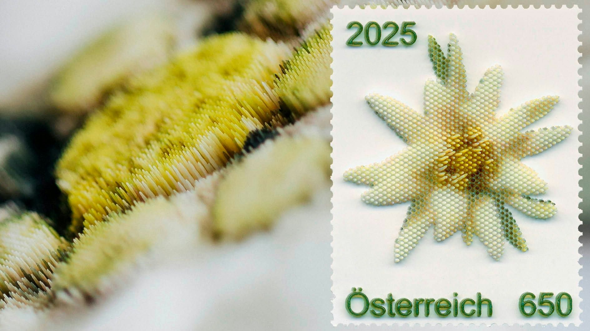 Heute.at - Weich und biegsam: Post bringt samtige Kuschel-Marke