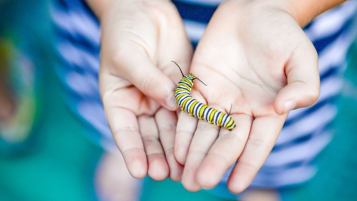 Heute.at - Kinder lernen Tierschutz bei Exkursionen in Wien und NÖ