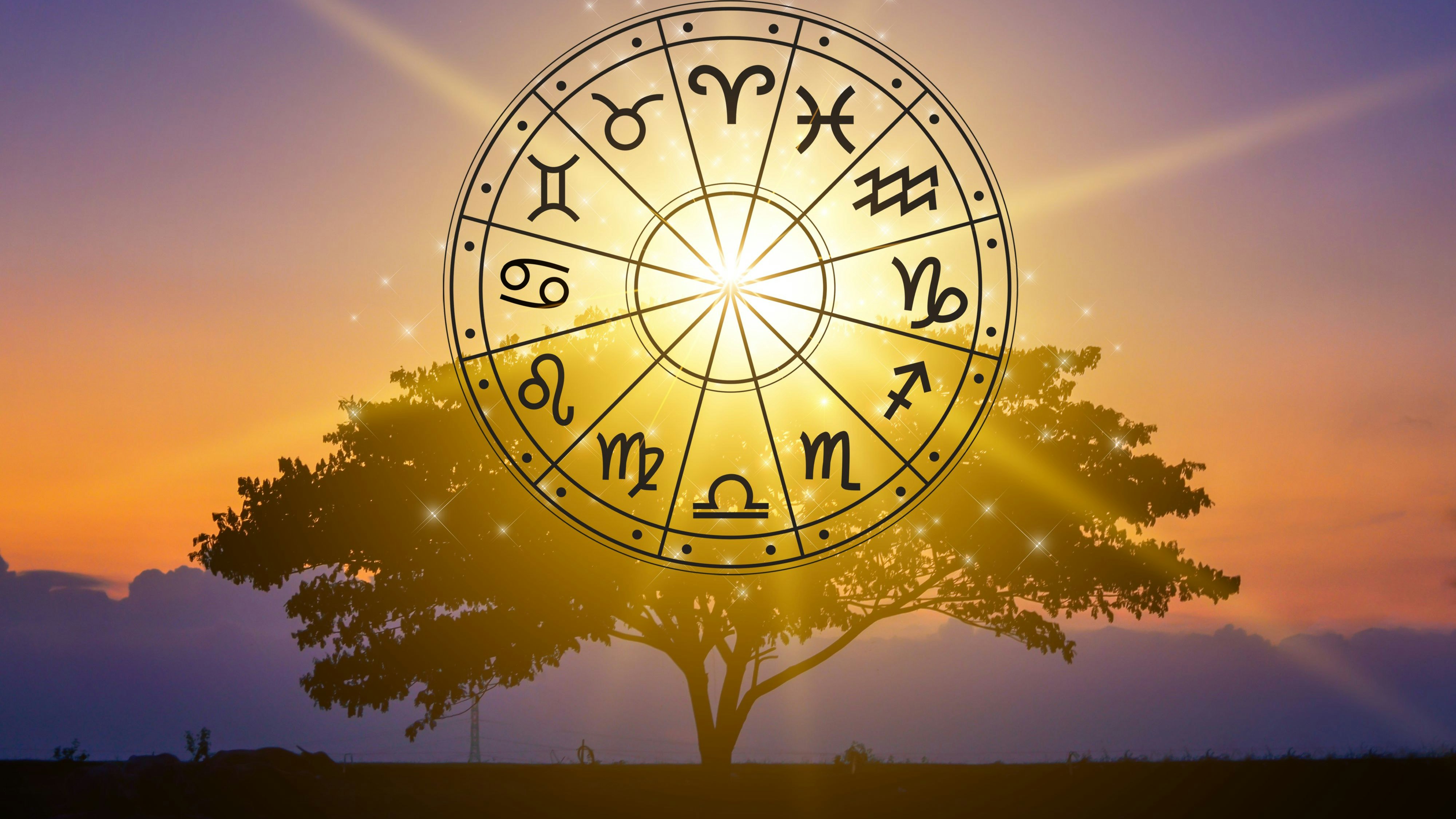 Zodiac signs inside of horoscope circle astrology and horoscopes concept