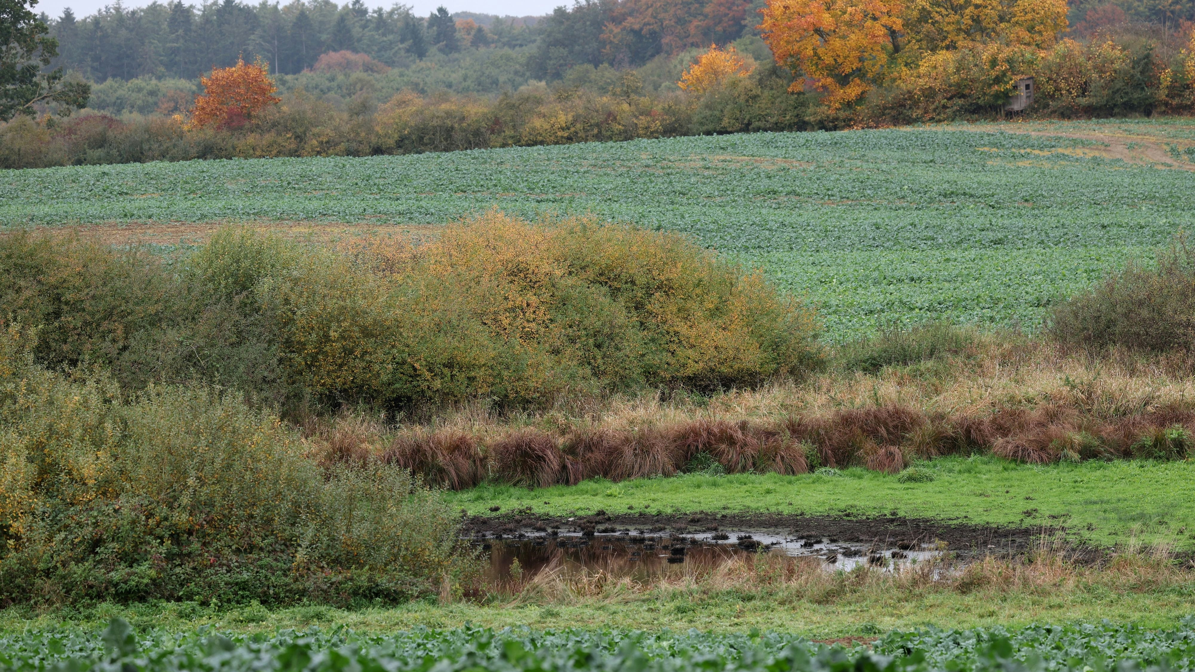 Heute.at - Fabian (8) ermordet – Brandspuren am Fundort entdeckt