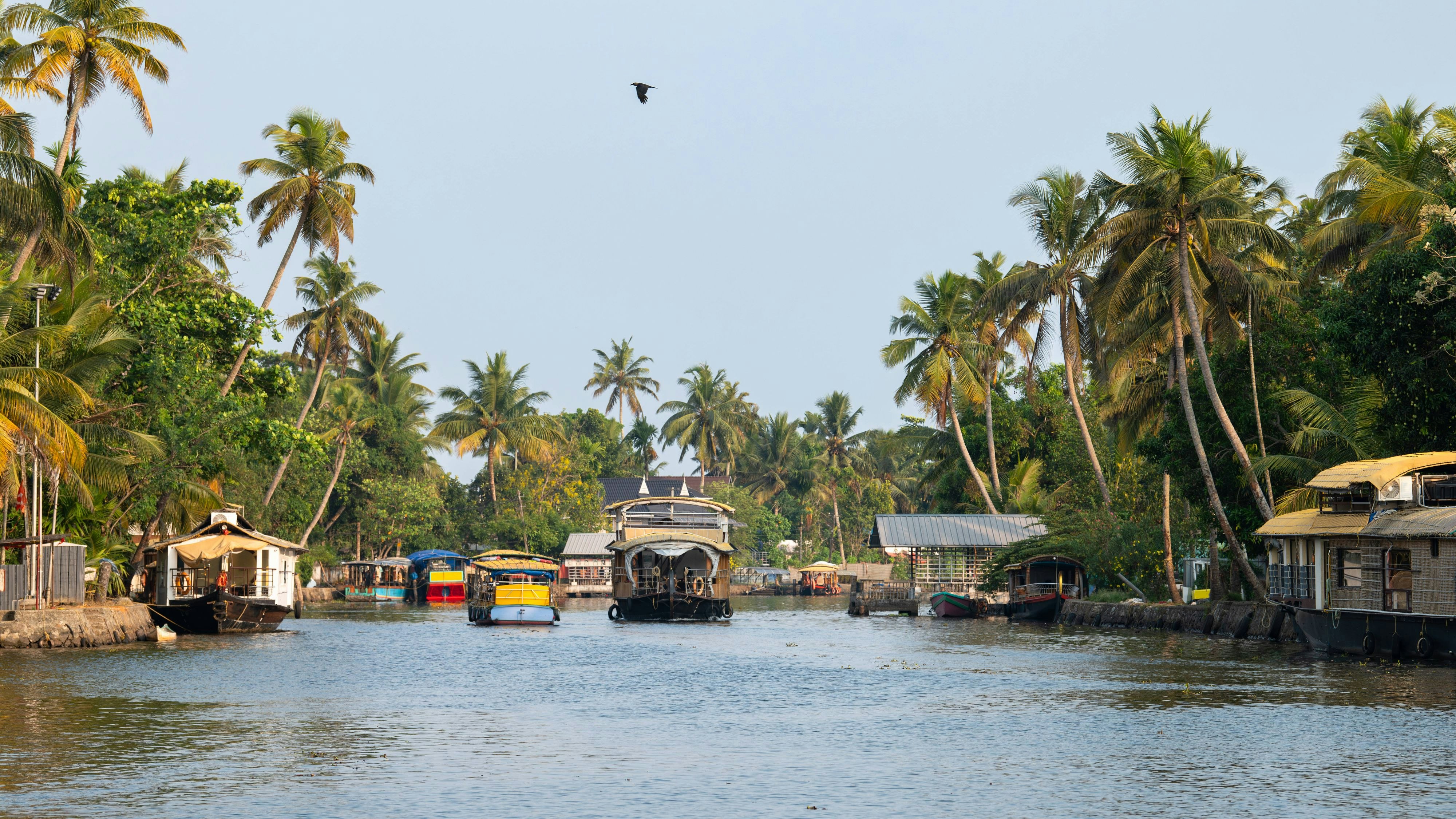 Nirgends schippert es sich so gemütlich wie auf den Backwaters von Alleppey.
