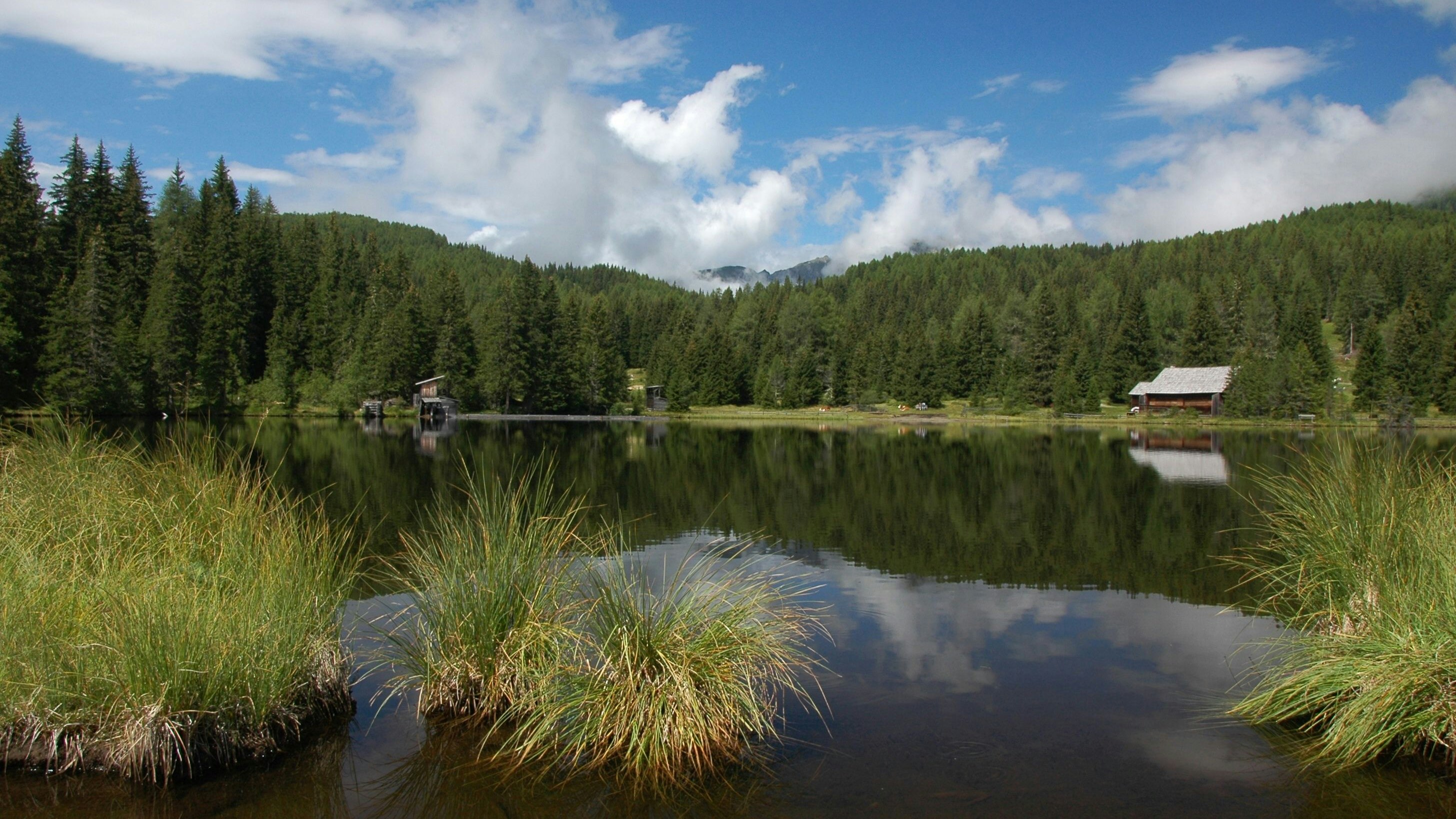 Heute.at - Wasserpest bedroht 200 Jahre altes Kult-Event