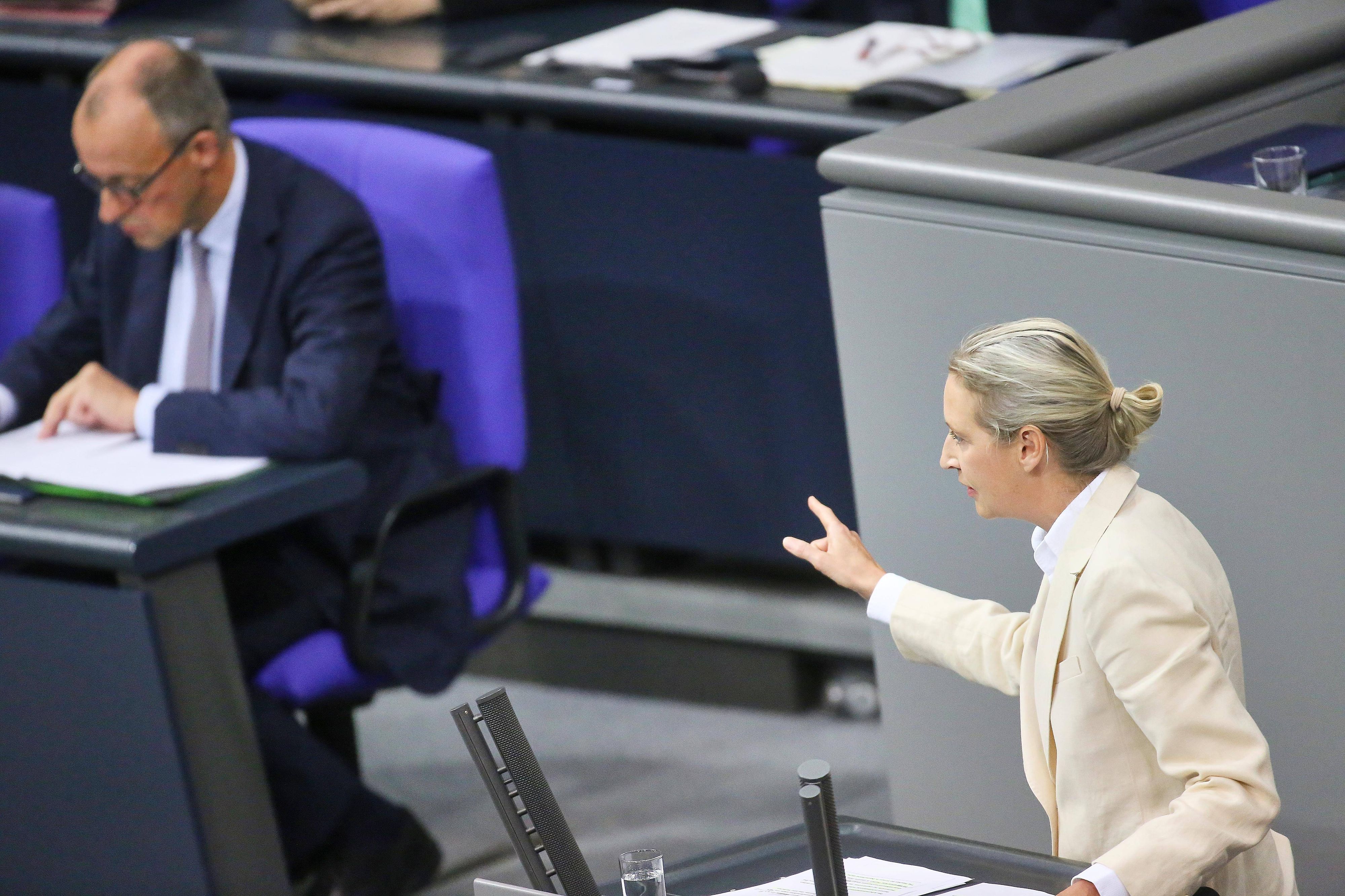 Friedrich Merz muss Rezepte gegen Alice Weidel finden.