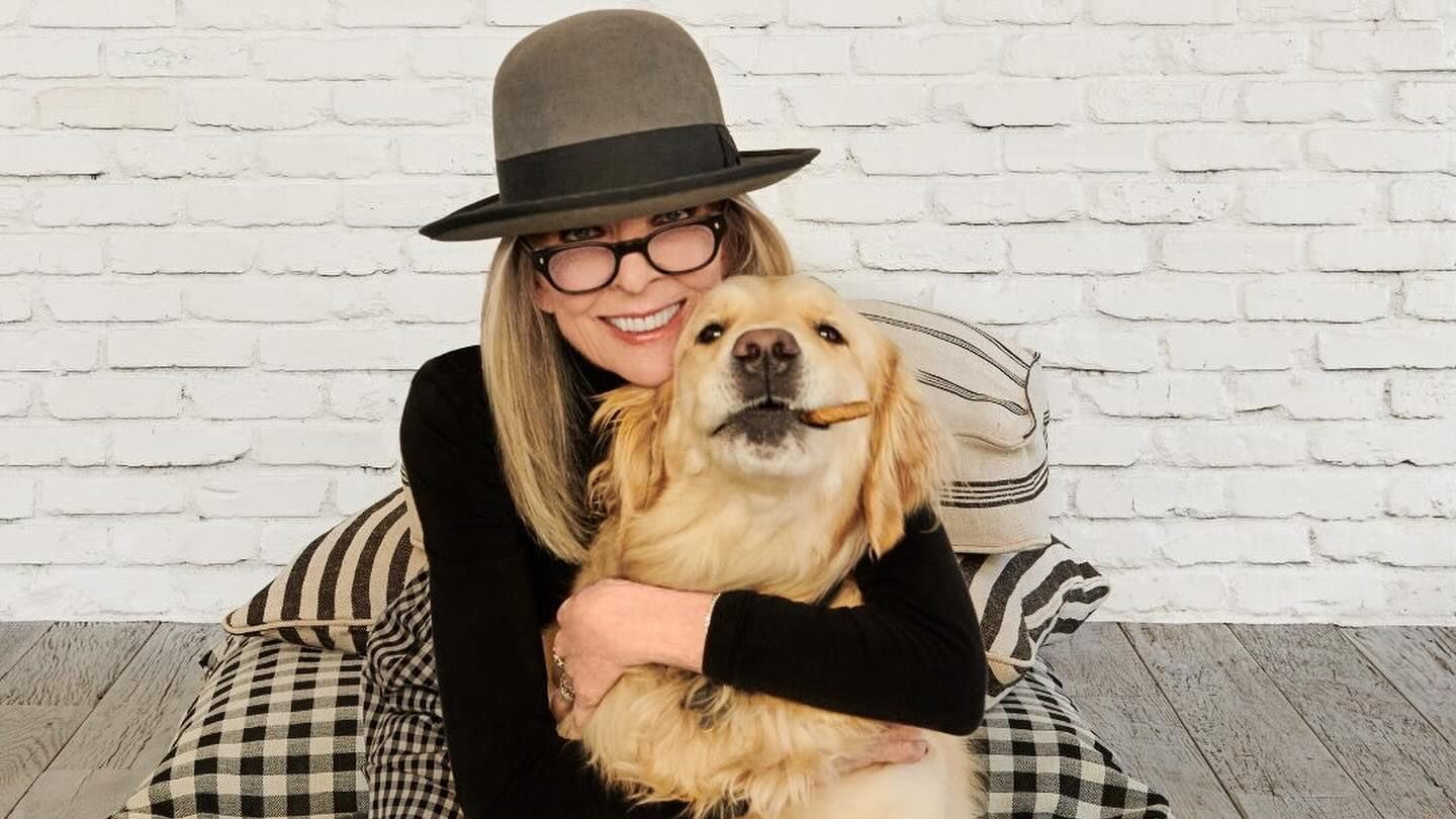 Heute.at - Hund von Diane Keaton wird nun zum Multimillionär