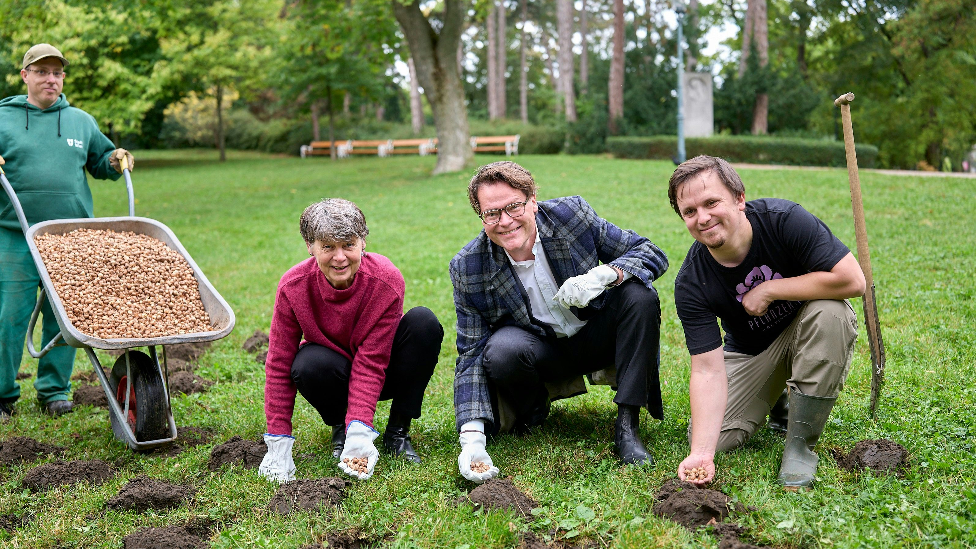 Heute.at - 690.000 Blumenzwiebeln – Wiener Parks blühen auf