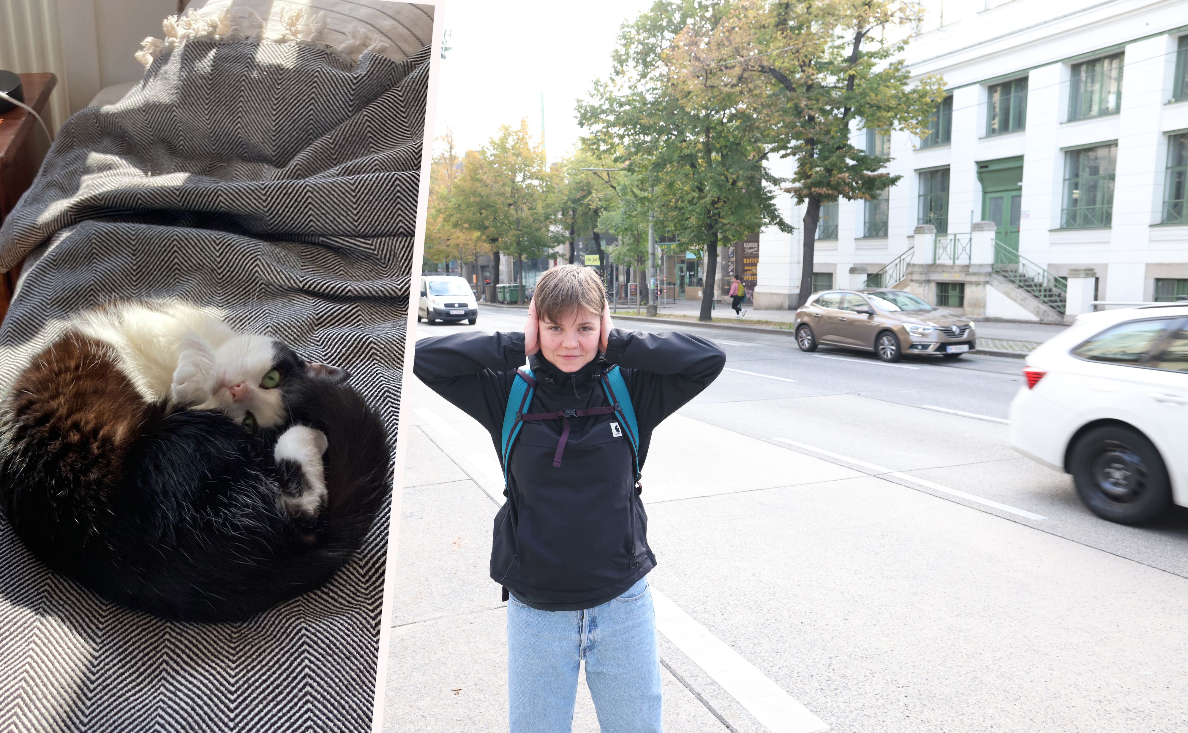 Studentin Valentina (23) wohnt direkt am Gürtel – selbst ihre Katze Frau Schrödinger leidet unter dem ständigen Verkehrslärm.
