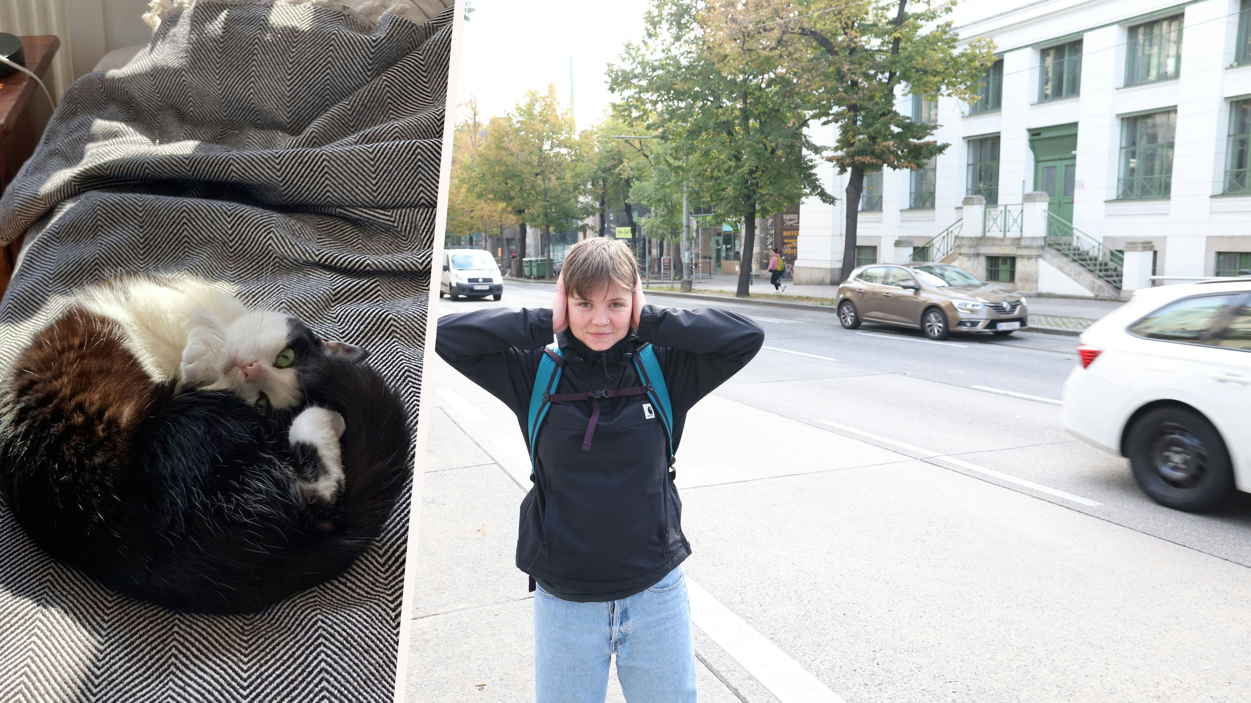 Heute.at - Gürtel-Anrainerin (23): Ohne Ohropax geht nichts