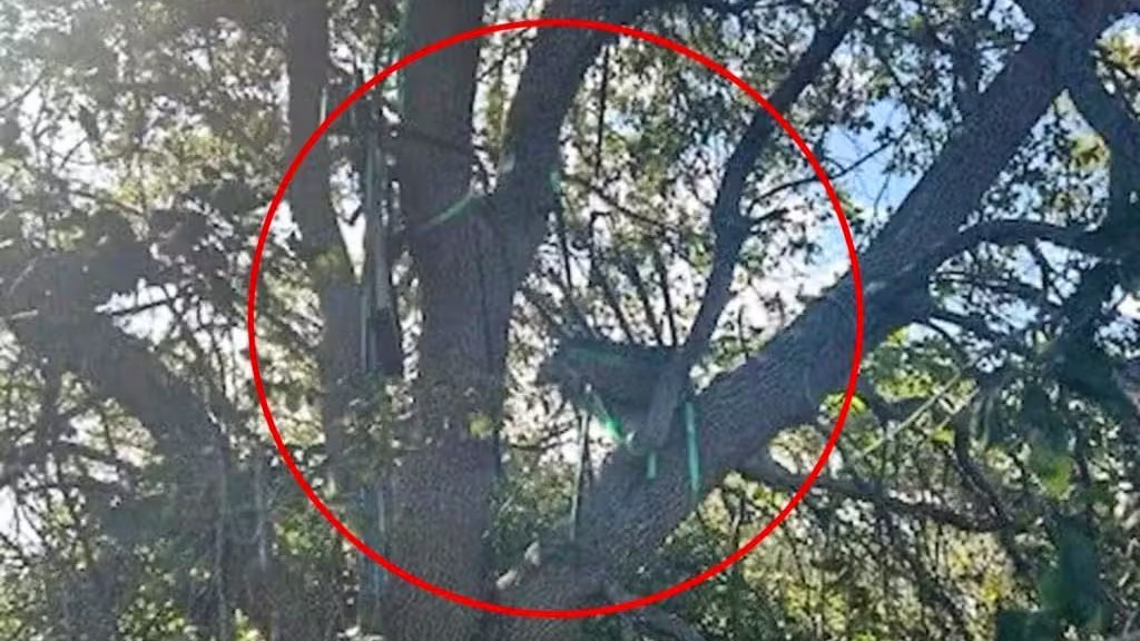 Heute.at - Trump in Gefahr? Secret Service nach Fund alarmiert