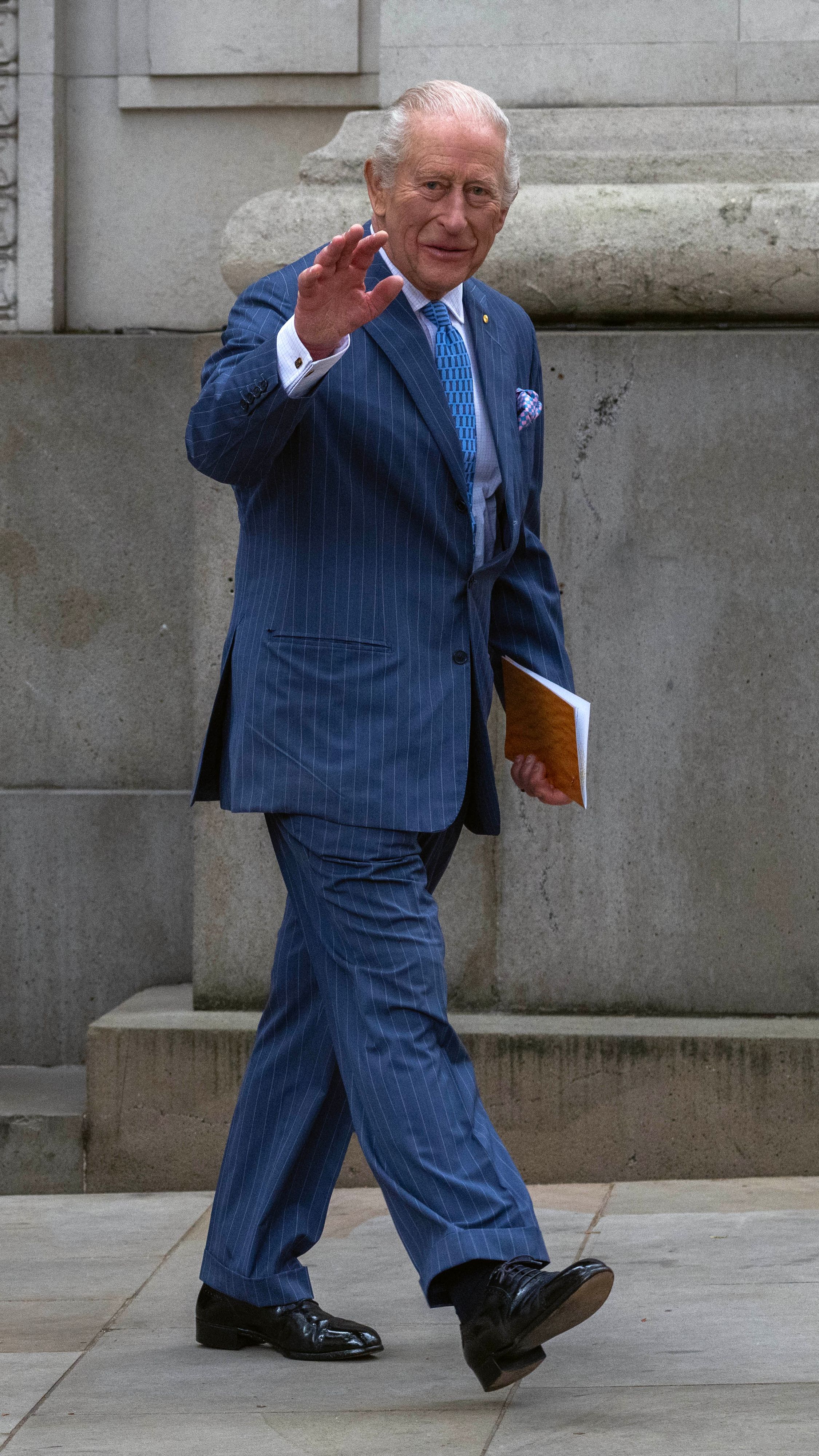 König Charles gilt seit Jahrzehnten als Umweltpionier und setzt sich nun für den Erhalt bedrohter Pflanzen ein.