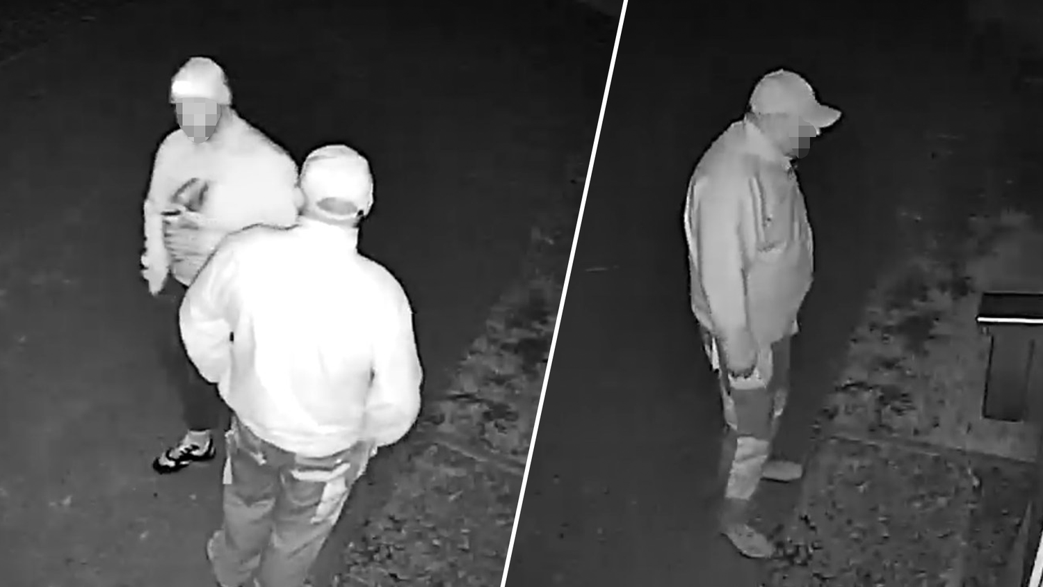 Heute.at - Gewaltsam – Unternehmer fahndet nach Einbrecher-Duo