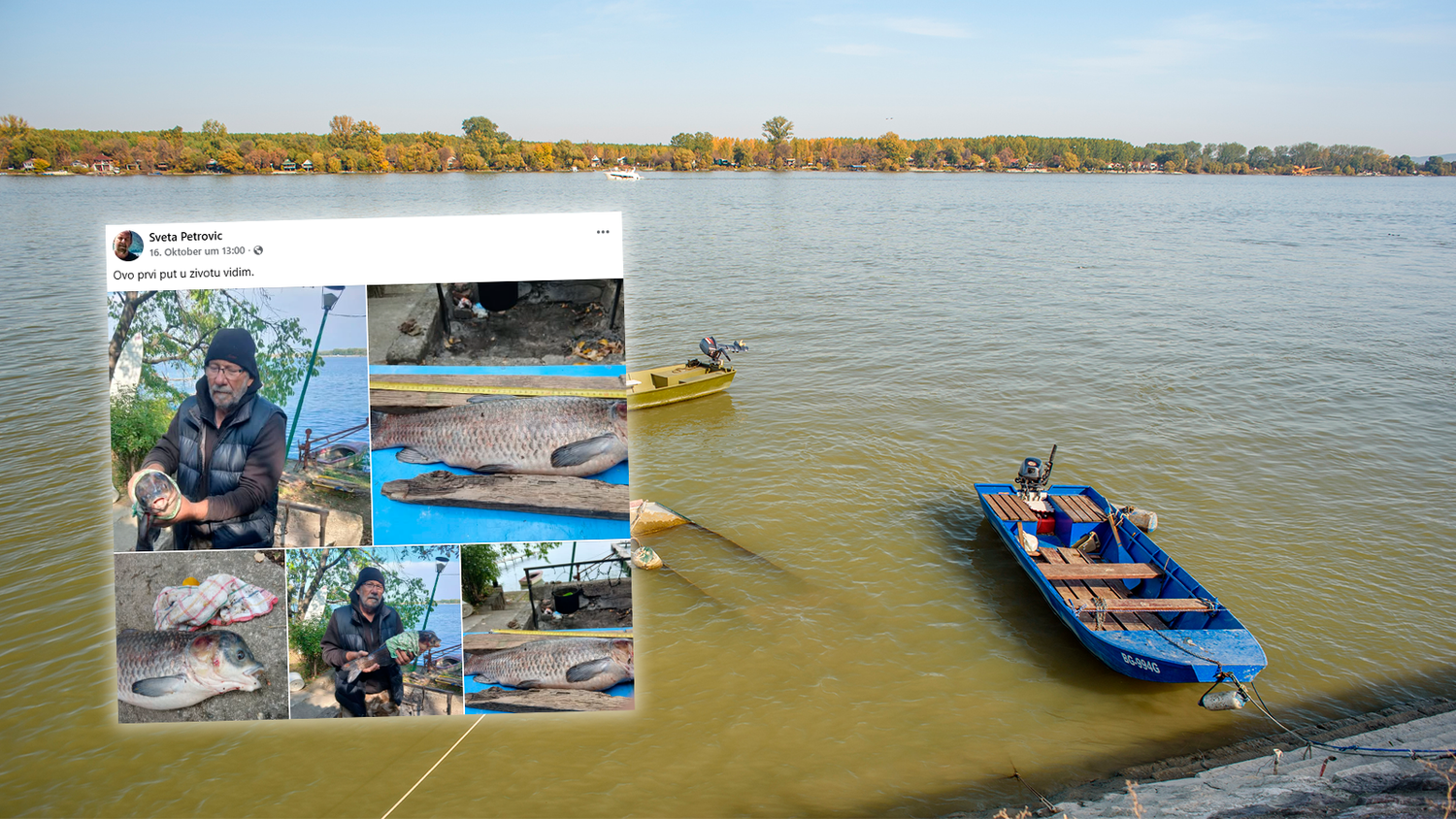 Heute.at - Mann zieht verstörenden Mutanten-Fisch aus der Donau