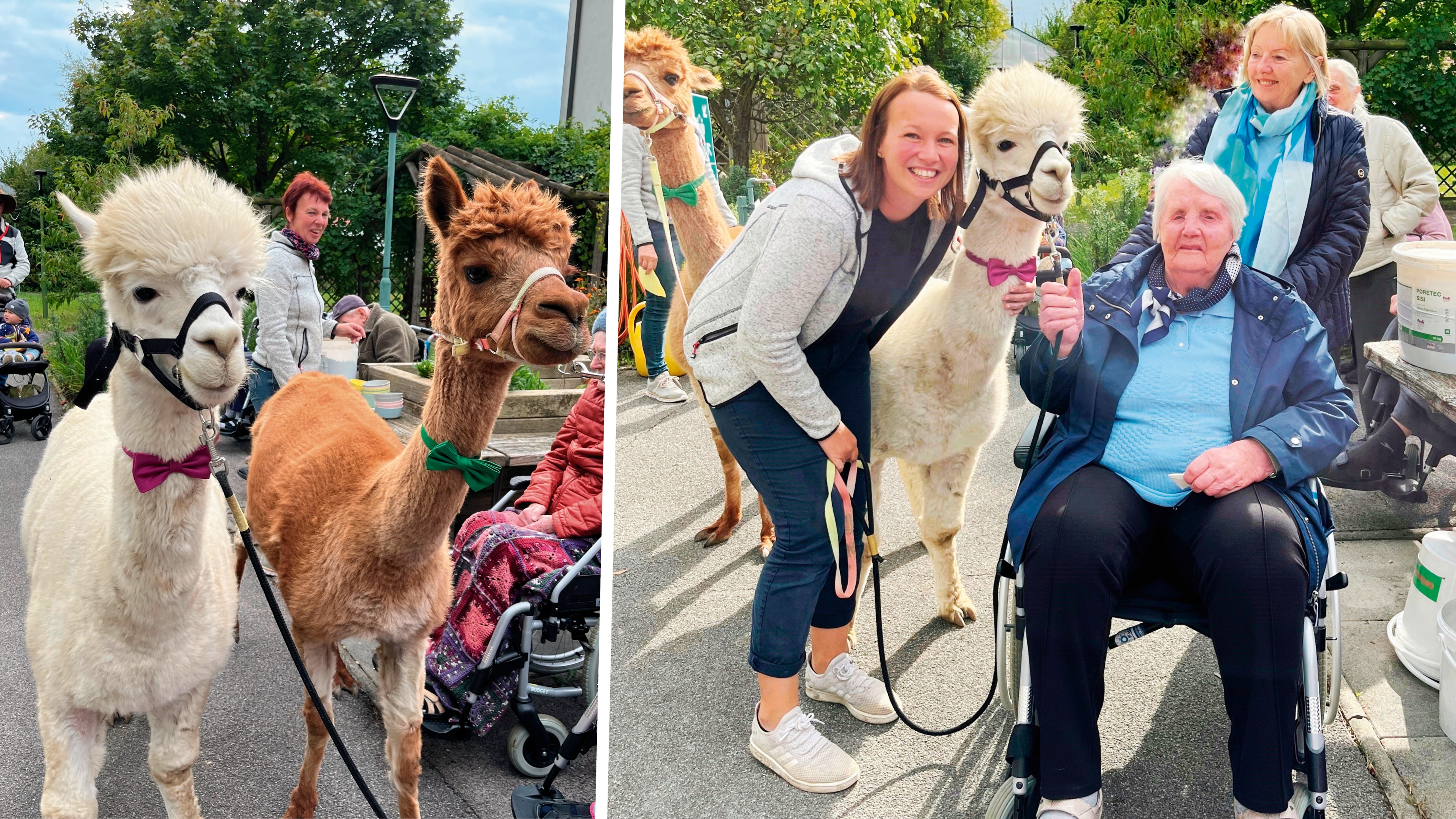 Die Freude über den Besuch der Alpakas war groß (v.l.n.r.): Tierbesitzerin Manuela Sauer, Bewohnerin Theresia Hartmann mit Tochter Theresia Hartmann.
