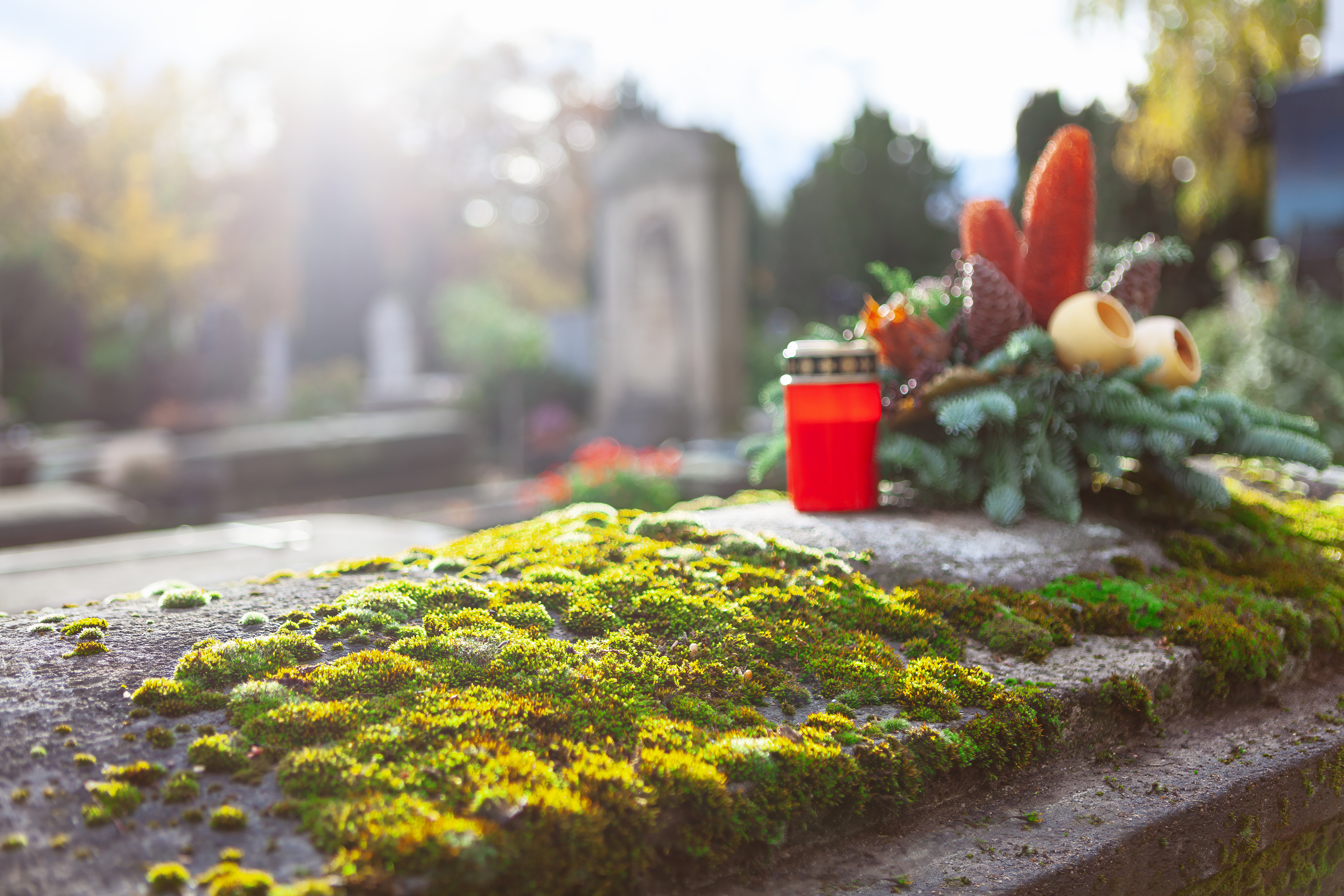 Das Grab des Millionärs war undicht, der Nachweis eines möglichen Mordes wird für die Ermittler schwieriger. (Symbolbild)
