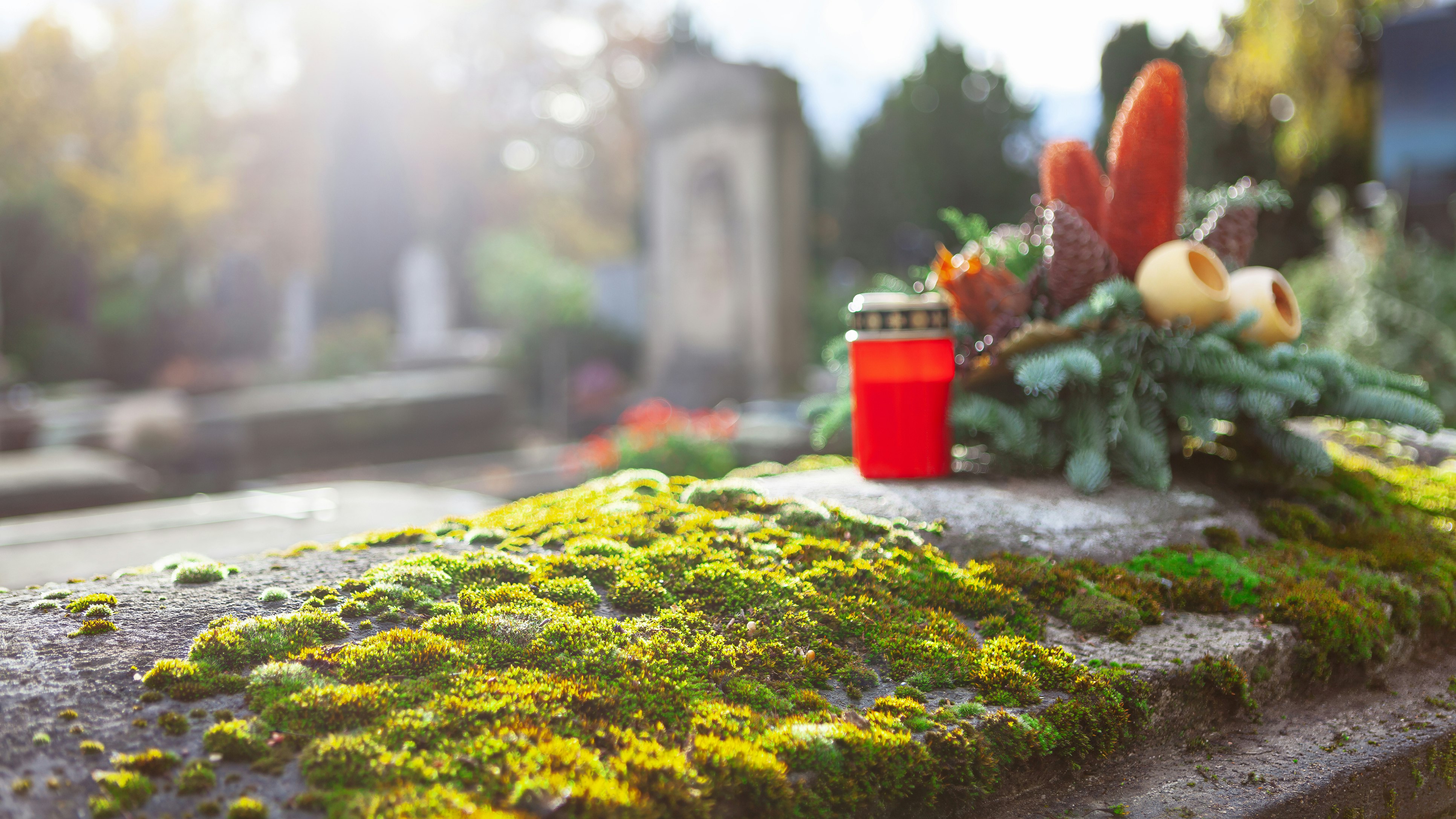 Heute.at - Millionenerbin unter Mordverdacht – Wasser flutete Grab